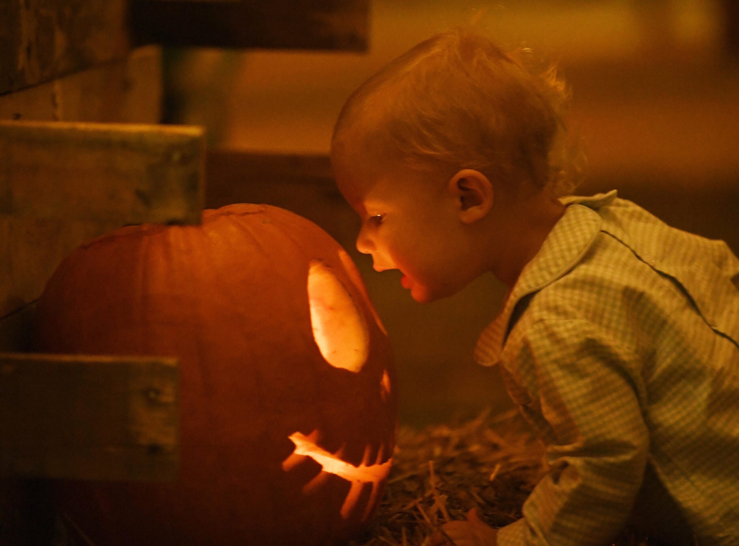A child looks at what's lighting a pumpkin.