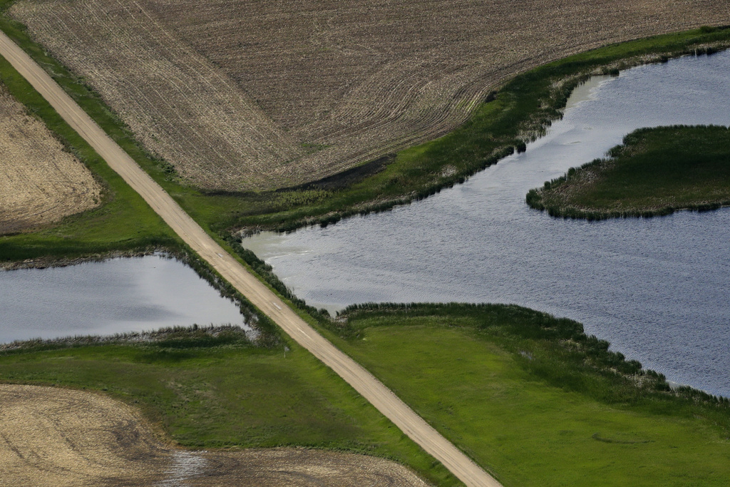 A road crossing wetlands