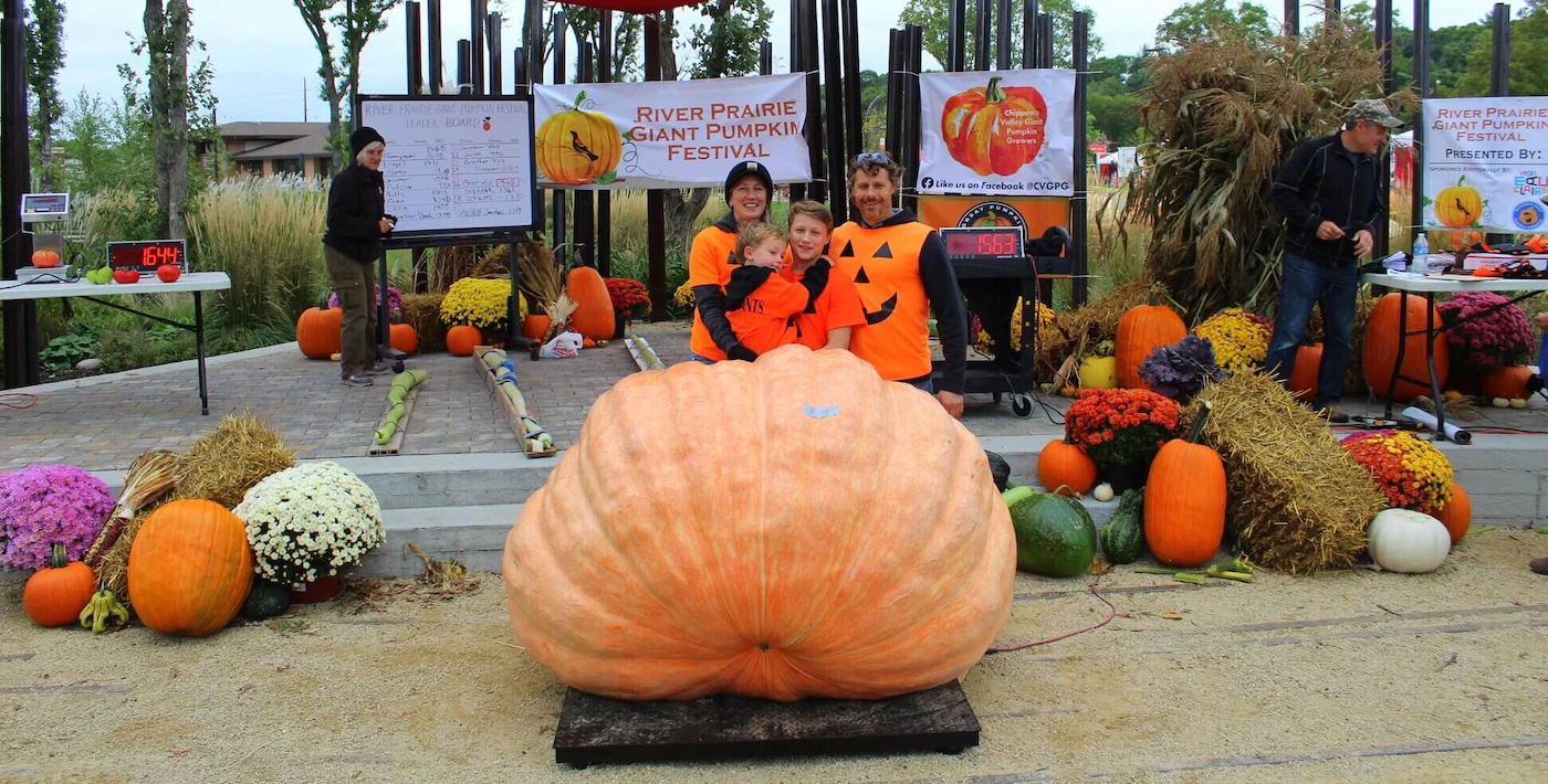 Giant pumpkin on display