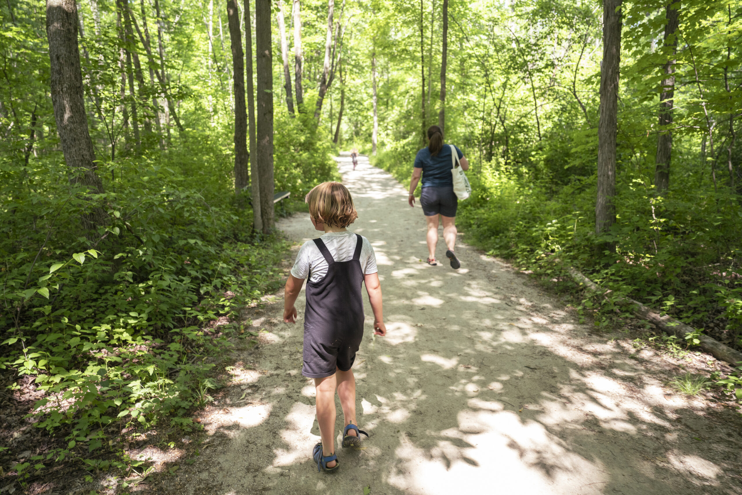 A child and a parent walk down a trail with trees on either side