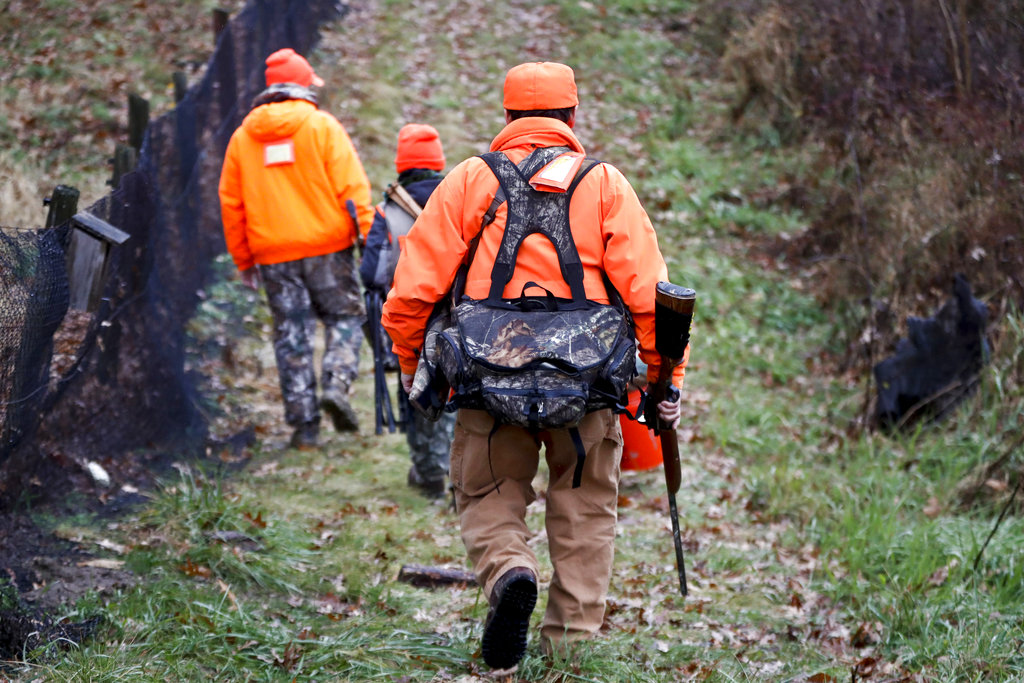 Wisconsin DNR forecasts hunters may bag fewer deer during the gun deer season