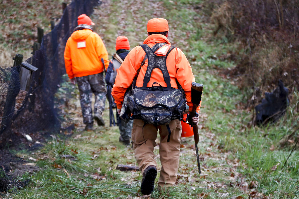 Hunters walking in the woods