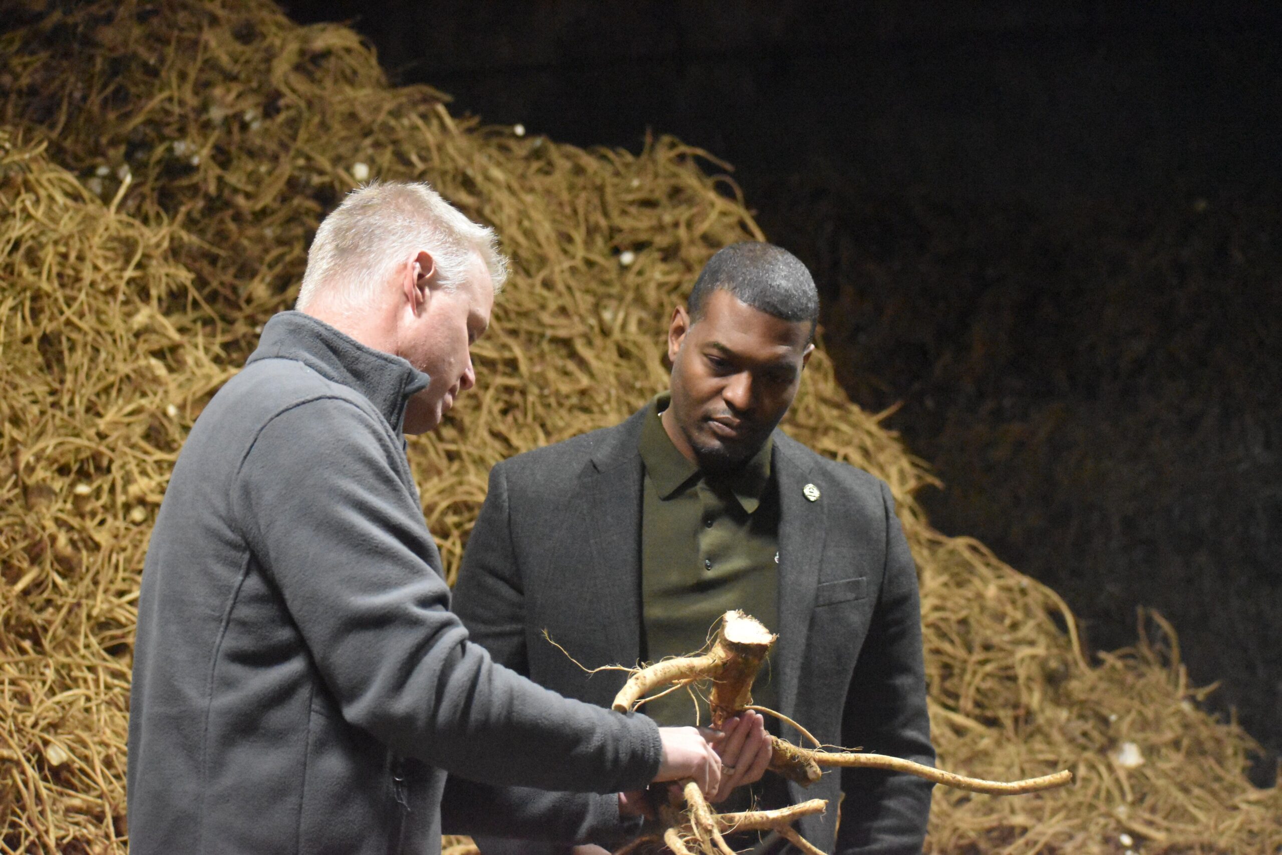 Head of the EPA tours horseradish farm to tout investments in climate-smart practices