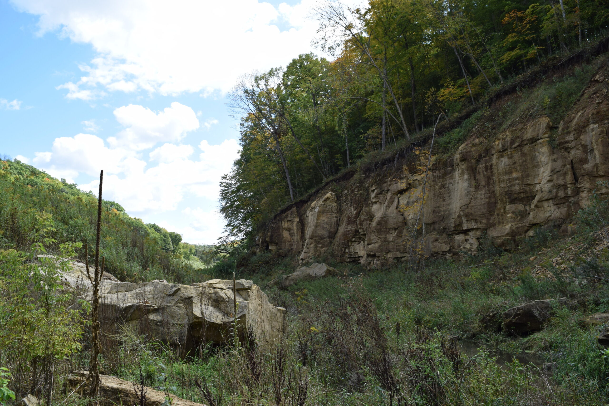 A wooded hill ends in a sheer drop into a grassy valley dotted with large rocks