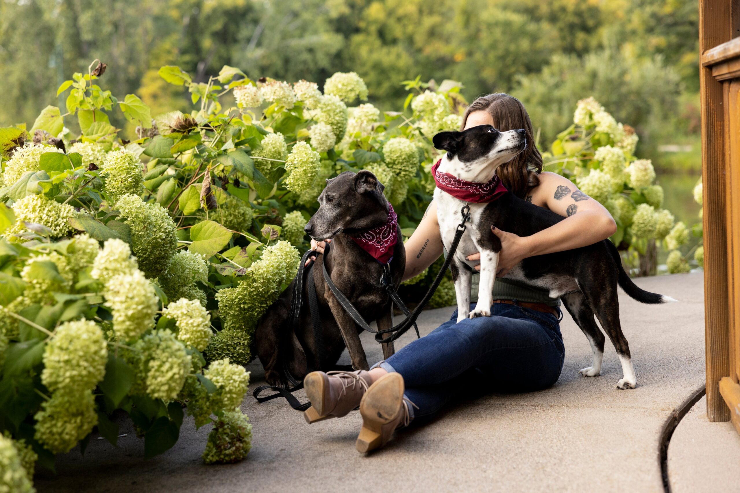 A woman sits on the concrete with two dogs