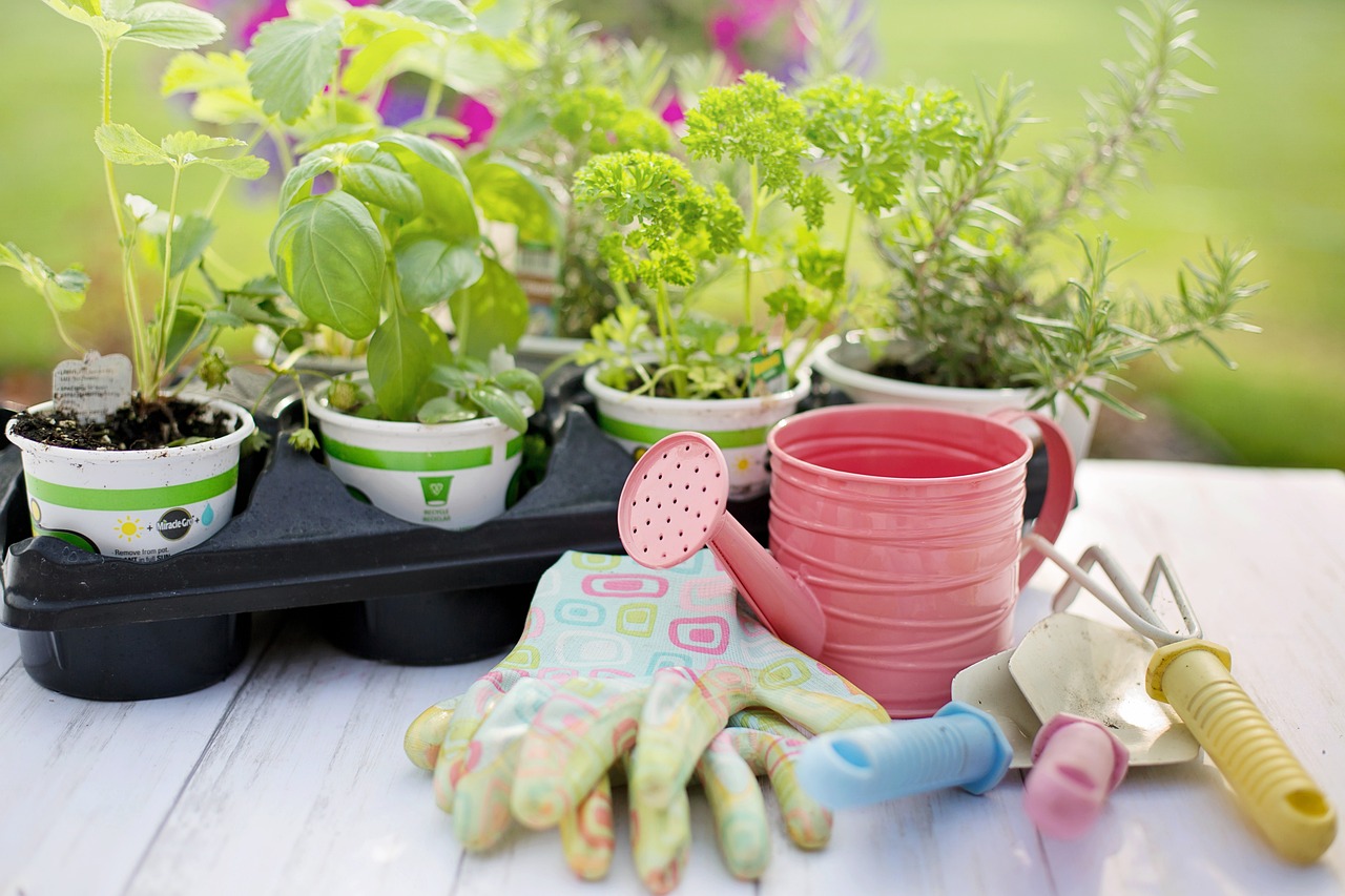 Gardening tools, gloves and pots.