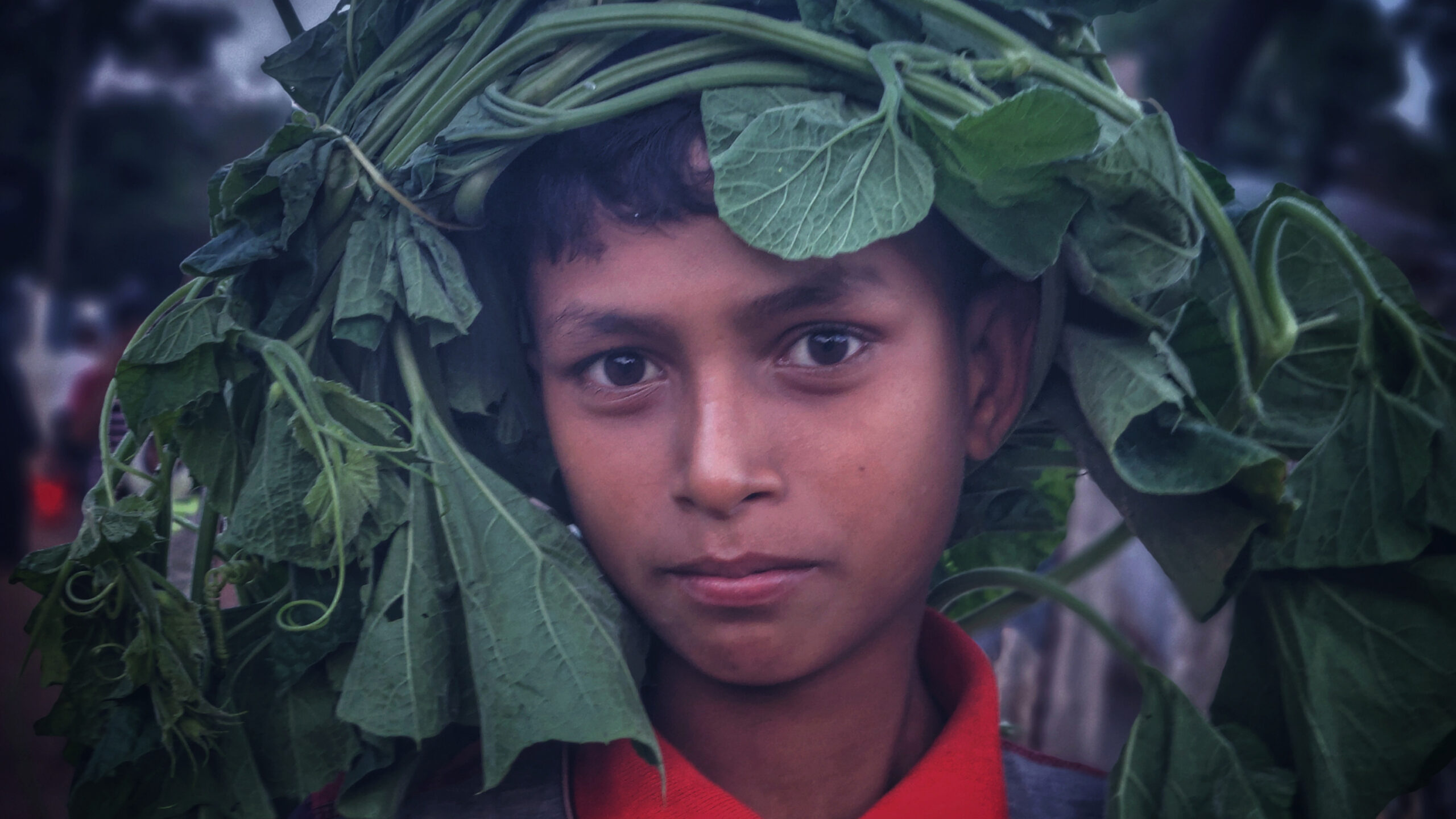 Arfat Ahmed, age 10, photographed on Nov. 8, 2022 as he returns to his family's dwelling with gourd leaves to cook for