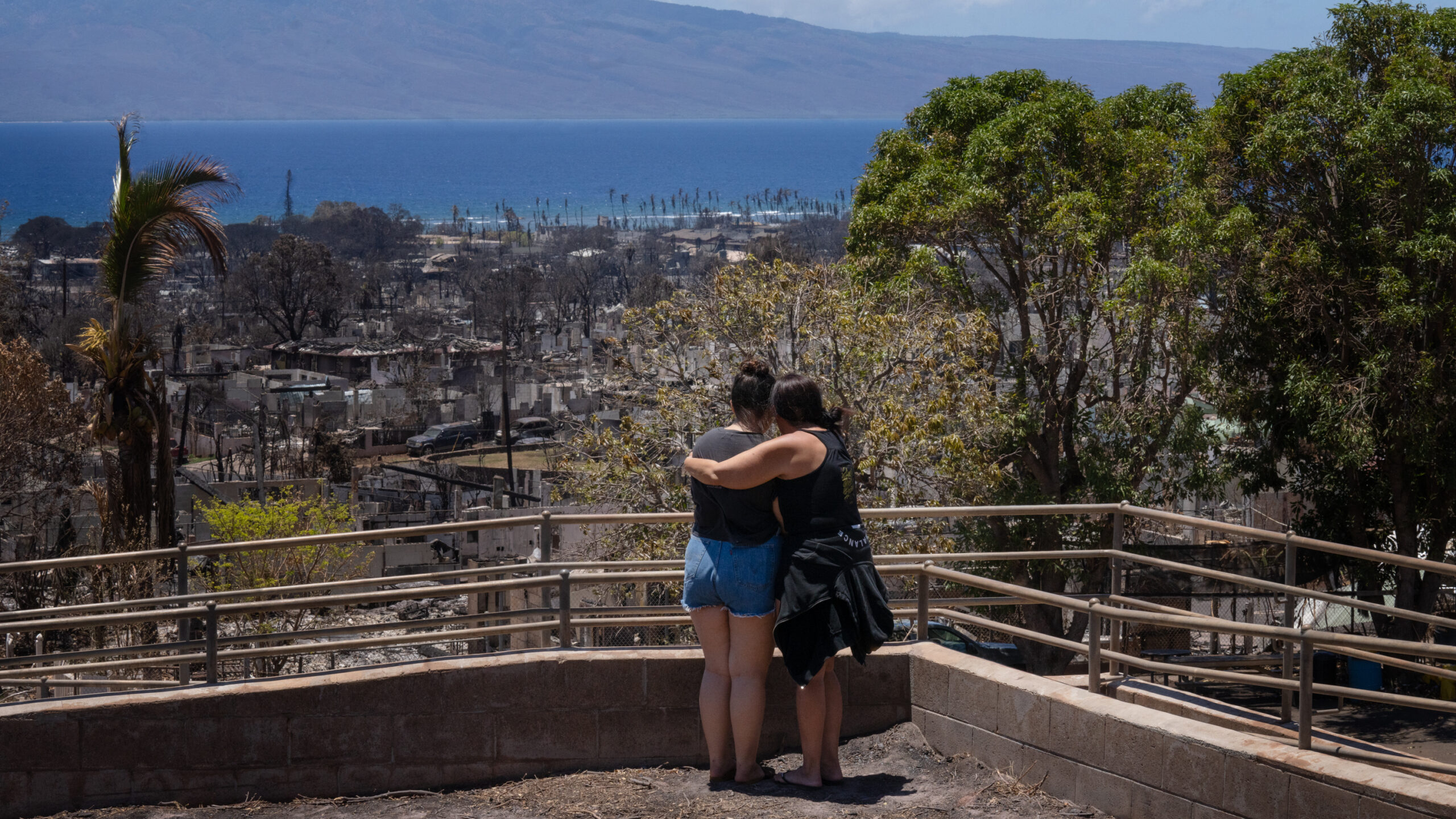 2023 was a tragic and bizarre year of wildfires. Will it mark a turning point?