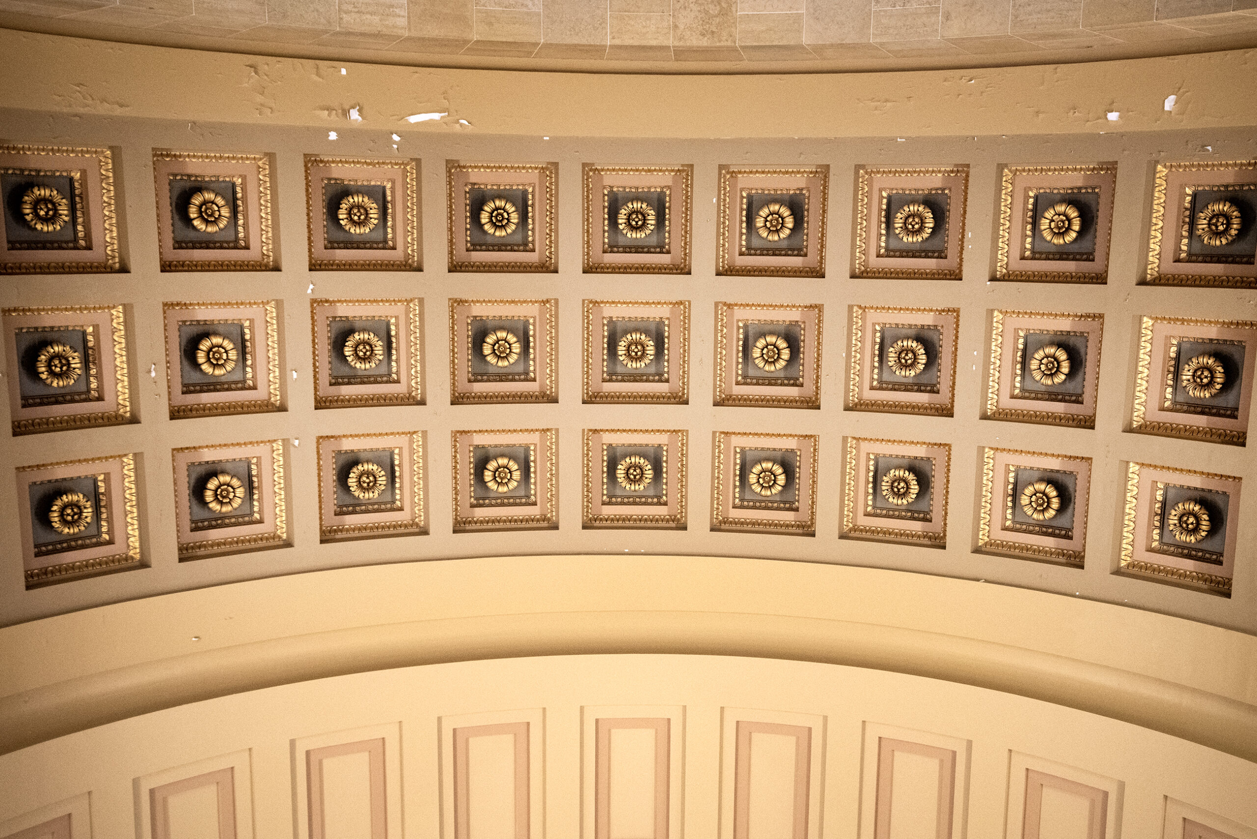 Detailed gold flowers are displayed in a repeating pattern on a Capitol ceiling.