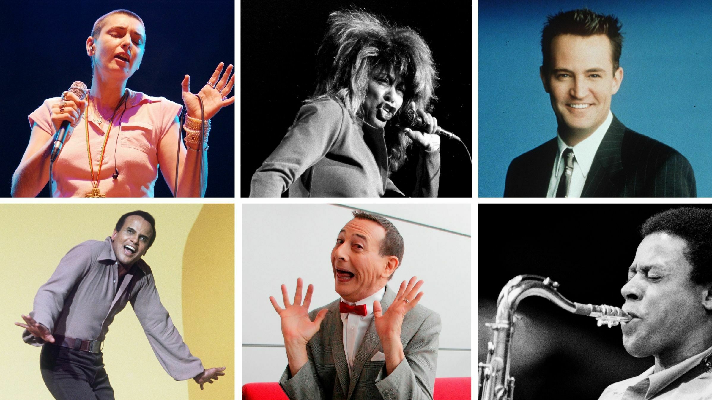 Clockwise from left: Sinéad O'Connor, Tina Turner, Matthew Perry, Wayne Shorter, Paul Reubens and Harry Belafonte