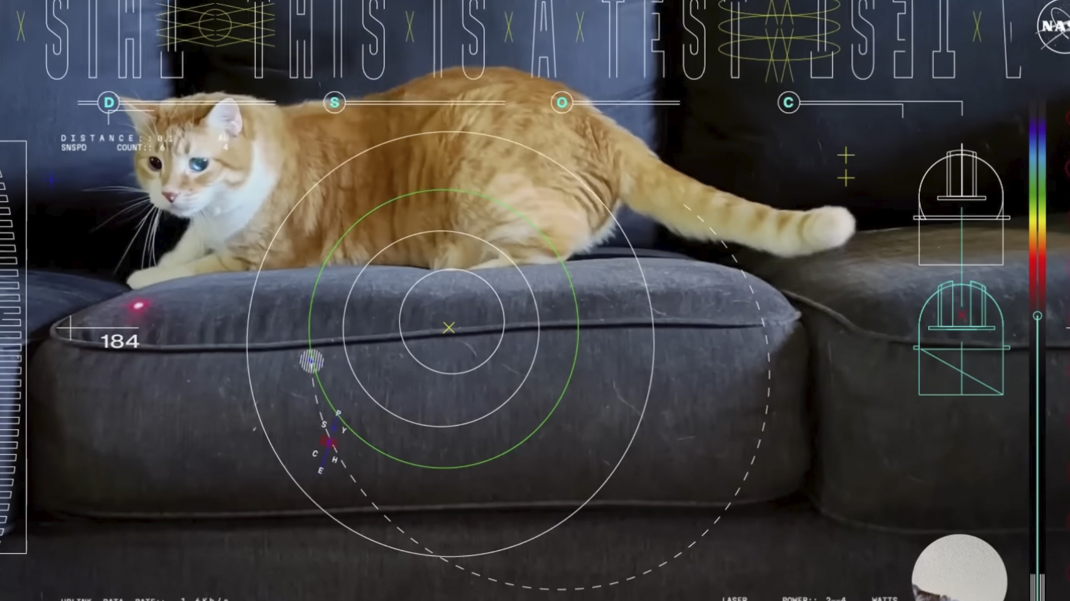 This cat video is out of this world, and NASA used a laser to beam it to Earth