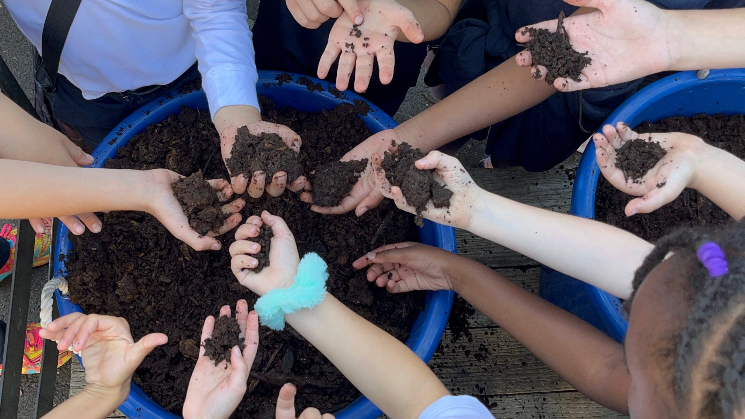How to inspire climate hope in kids? Get their hands dirty