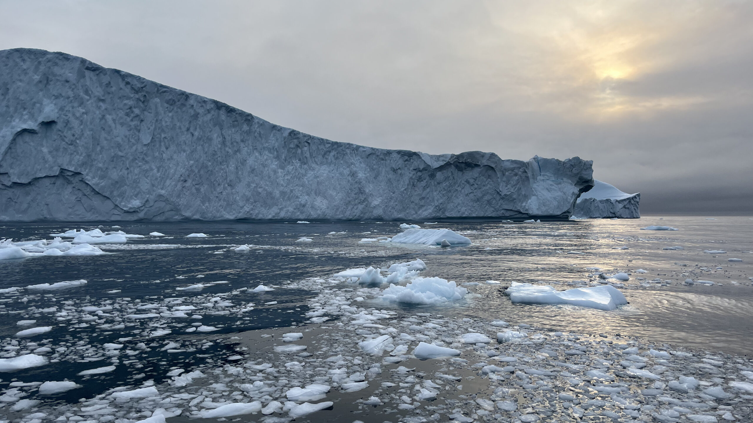 Arctic “report card” points to rapid and dramatic impacts of climate change