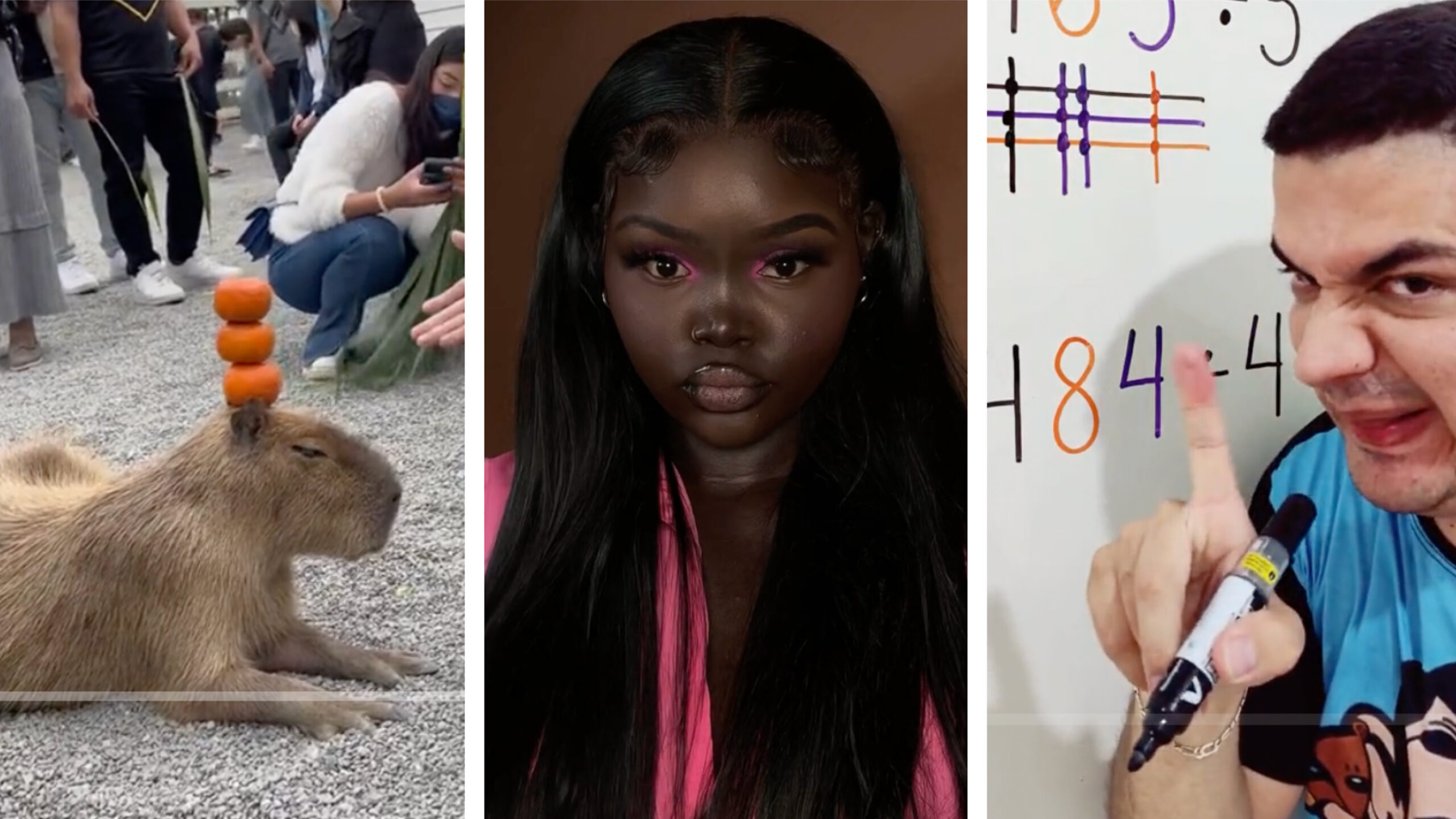 Top global TikToks of 2023: Mr. Bean of math, makeup demo, capybaras!