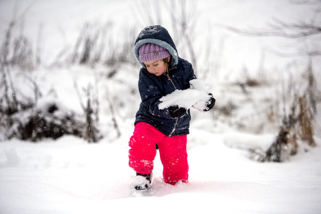 A child in bright pink snow pants walks through snow with some in her arms.