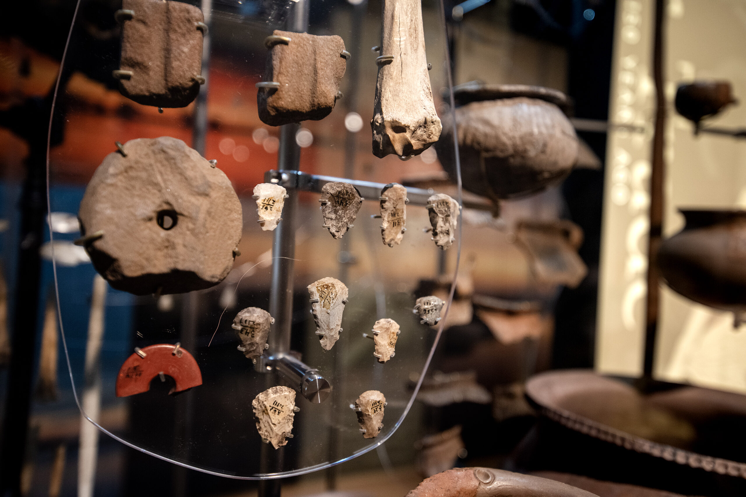 Tools are displayed in a case.