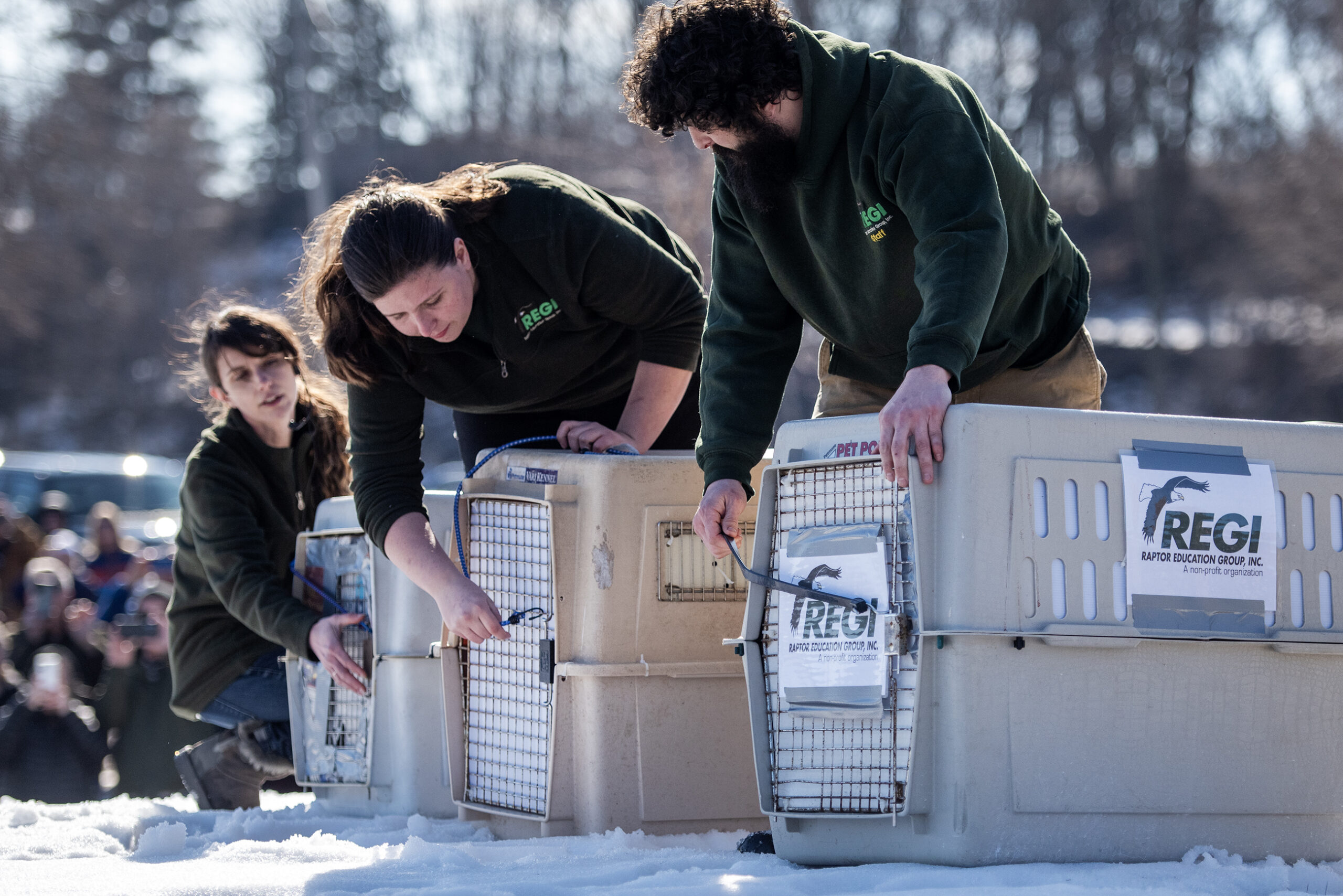 Three people lean over kennels preparing to open the doors.