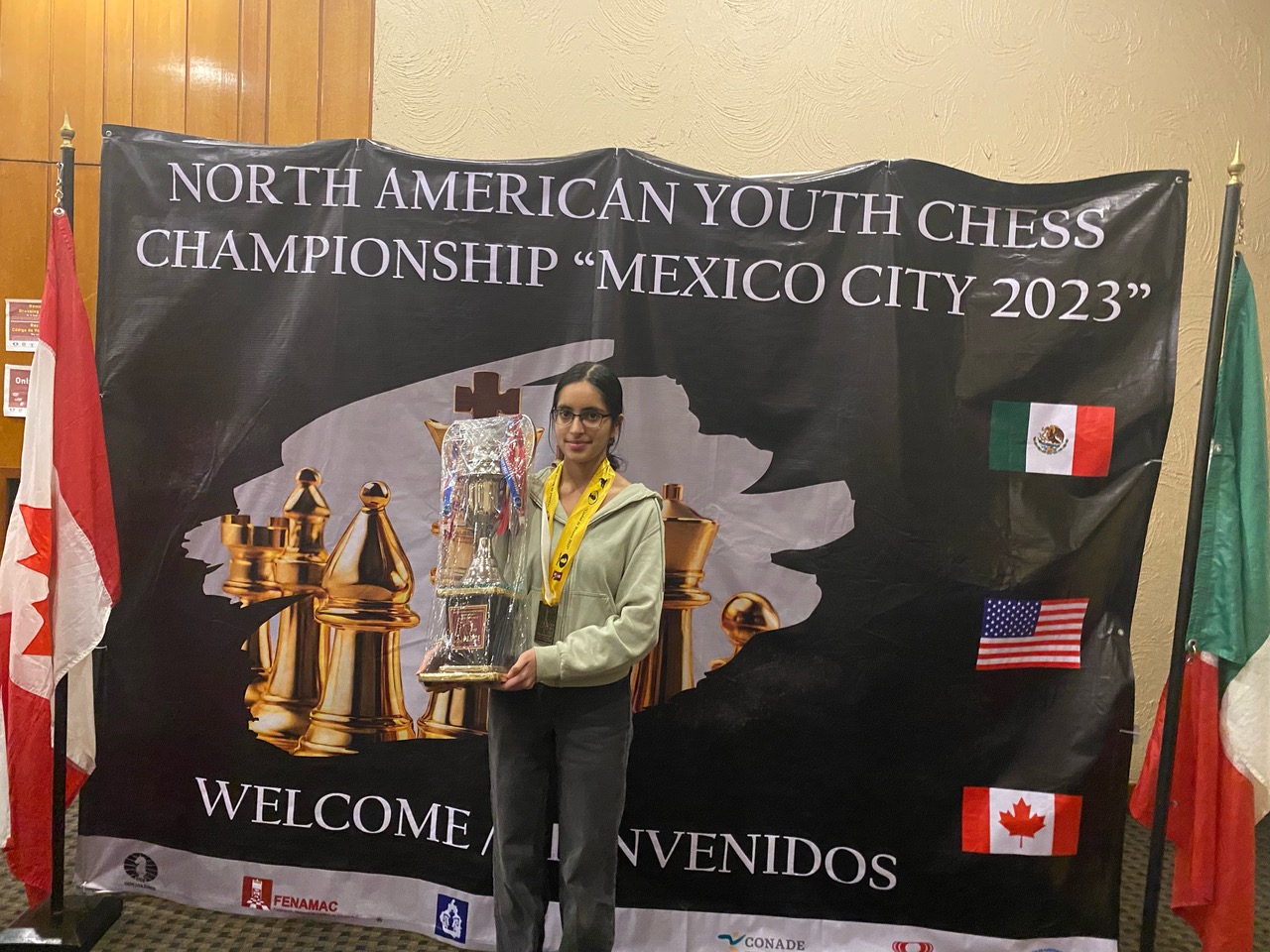 Wisconsin teen is first in state to earn Women International Master chess title