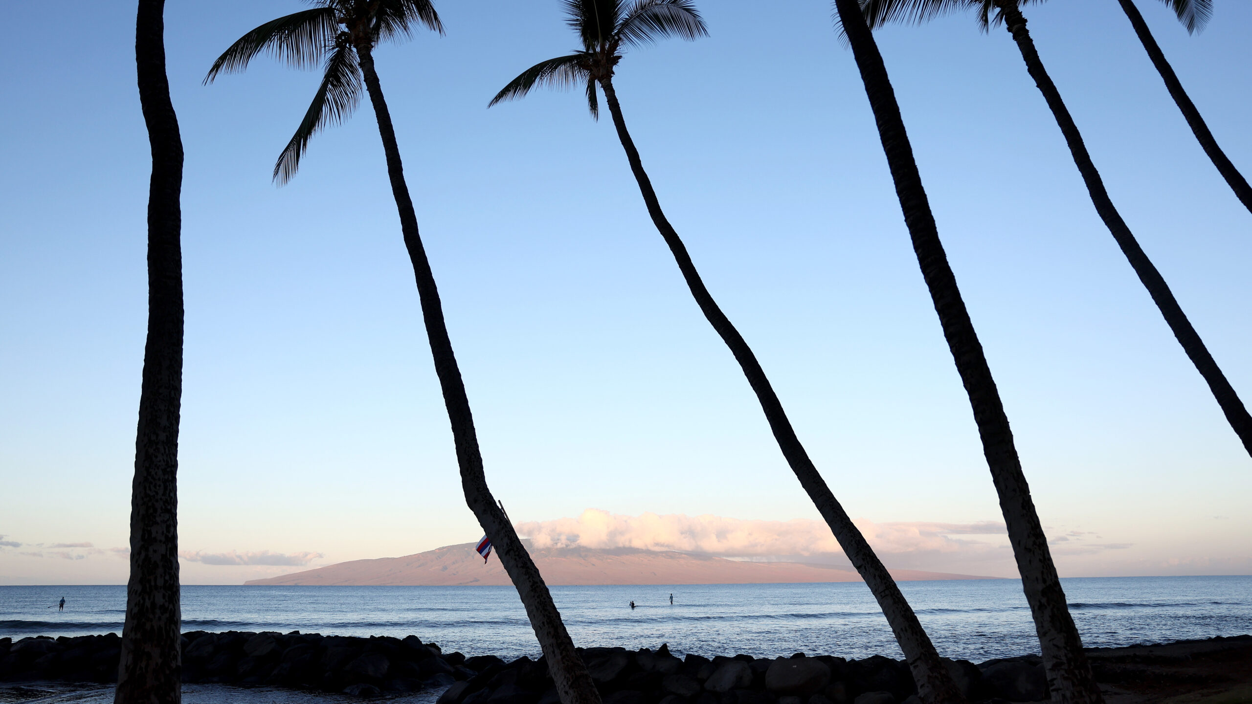 A 39-year-old surfer has died in Hawaii after being injured in a ‘shark encounter’
