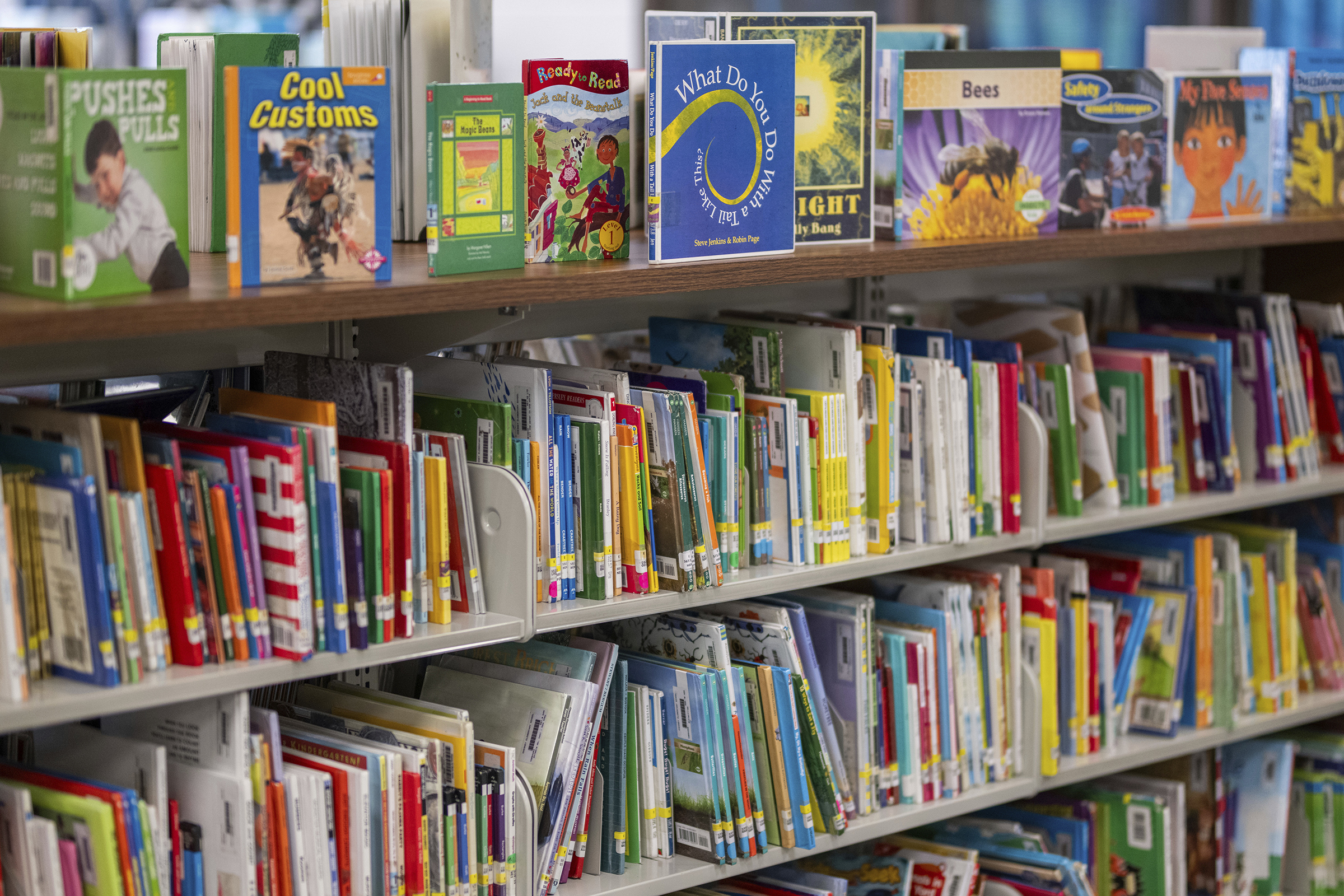 Books sit on shelves in a library