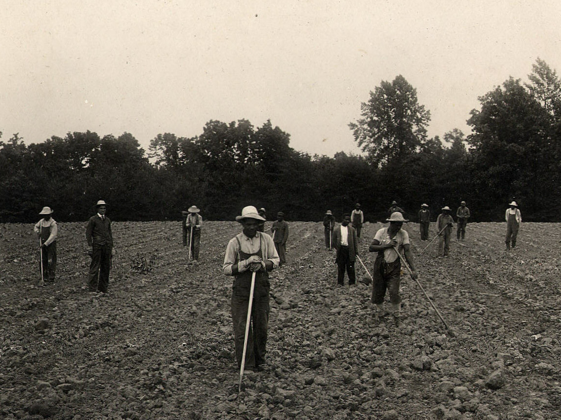 Crownsville patients work in the hospital's fields in the 1910s.
