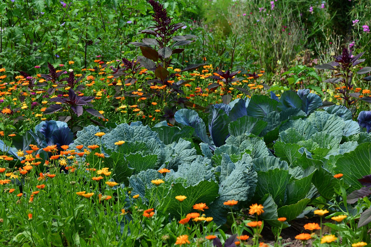 The layered edible garden