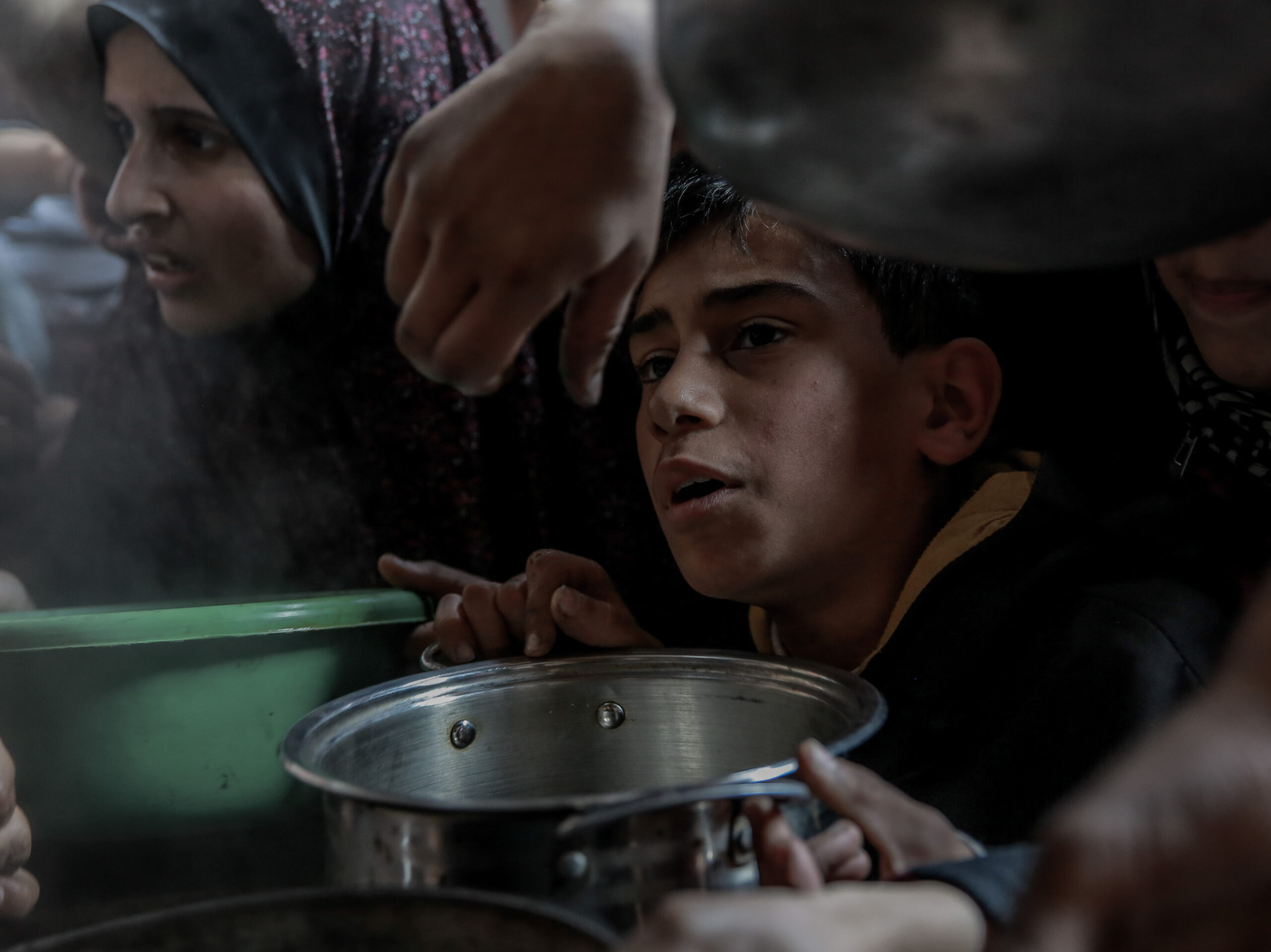 Boiling weeds, eating animal feed: People in Gaza stave off hunger any way they can