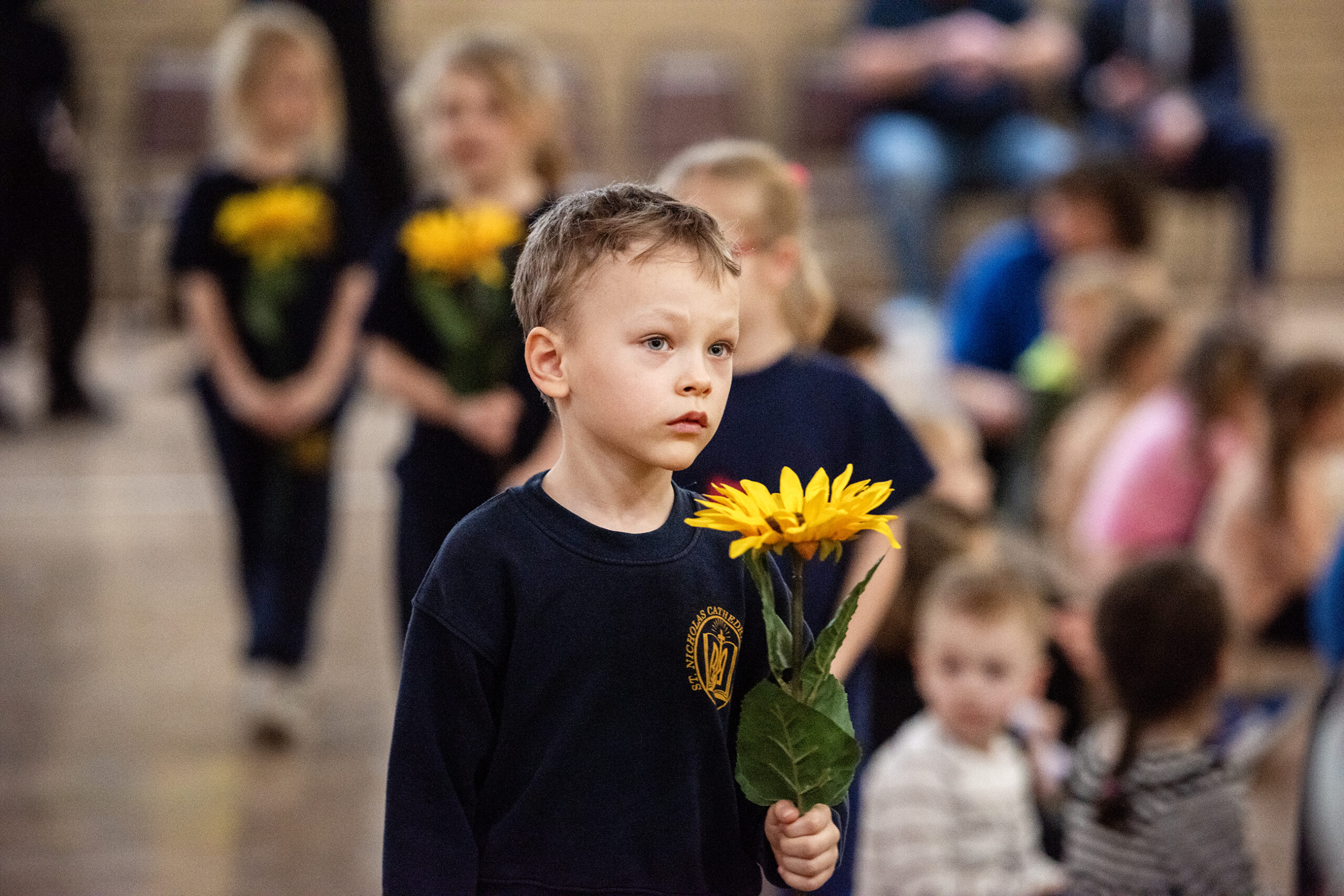 A boy holds a sunflower
