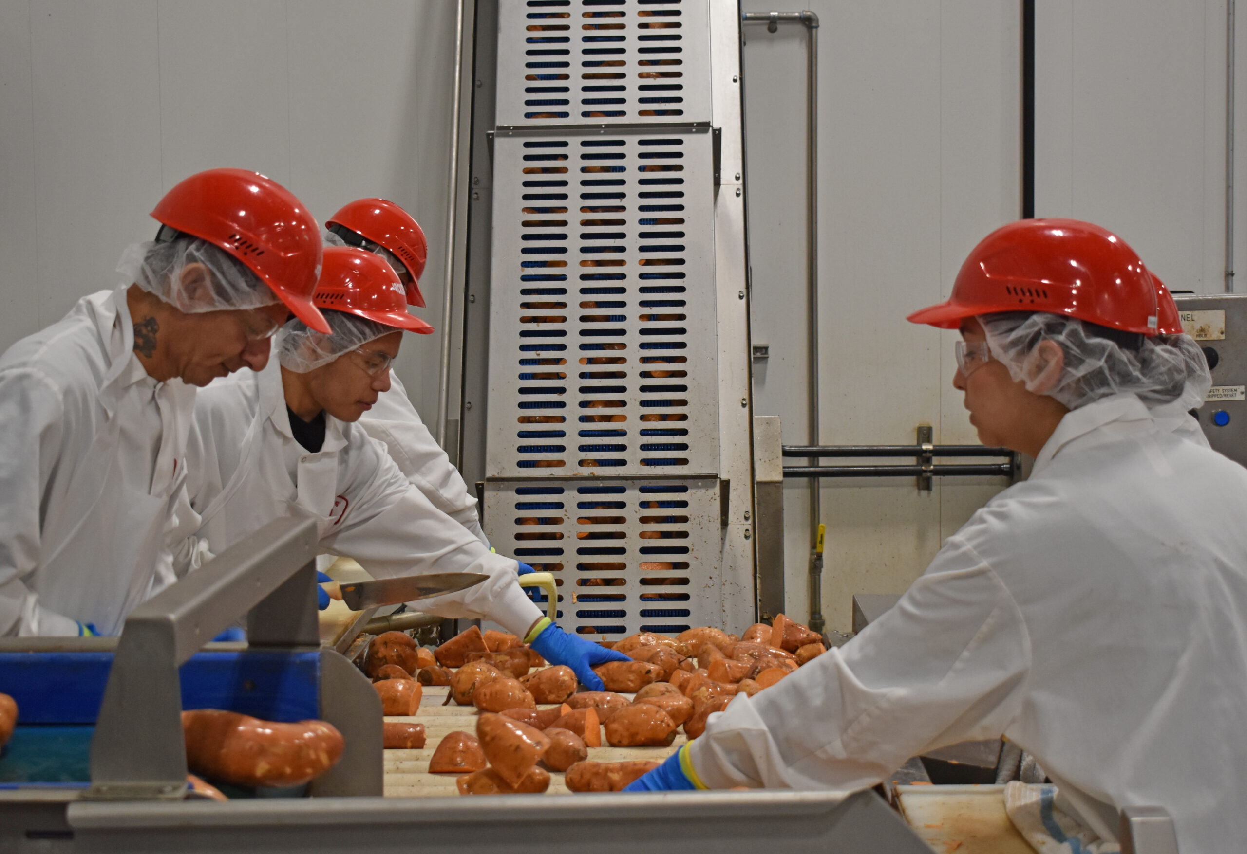 Sweet home, sweet potato: Jackson’s chips boosts production, workforce in Wisconsin