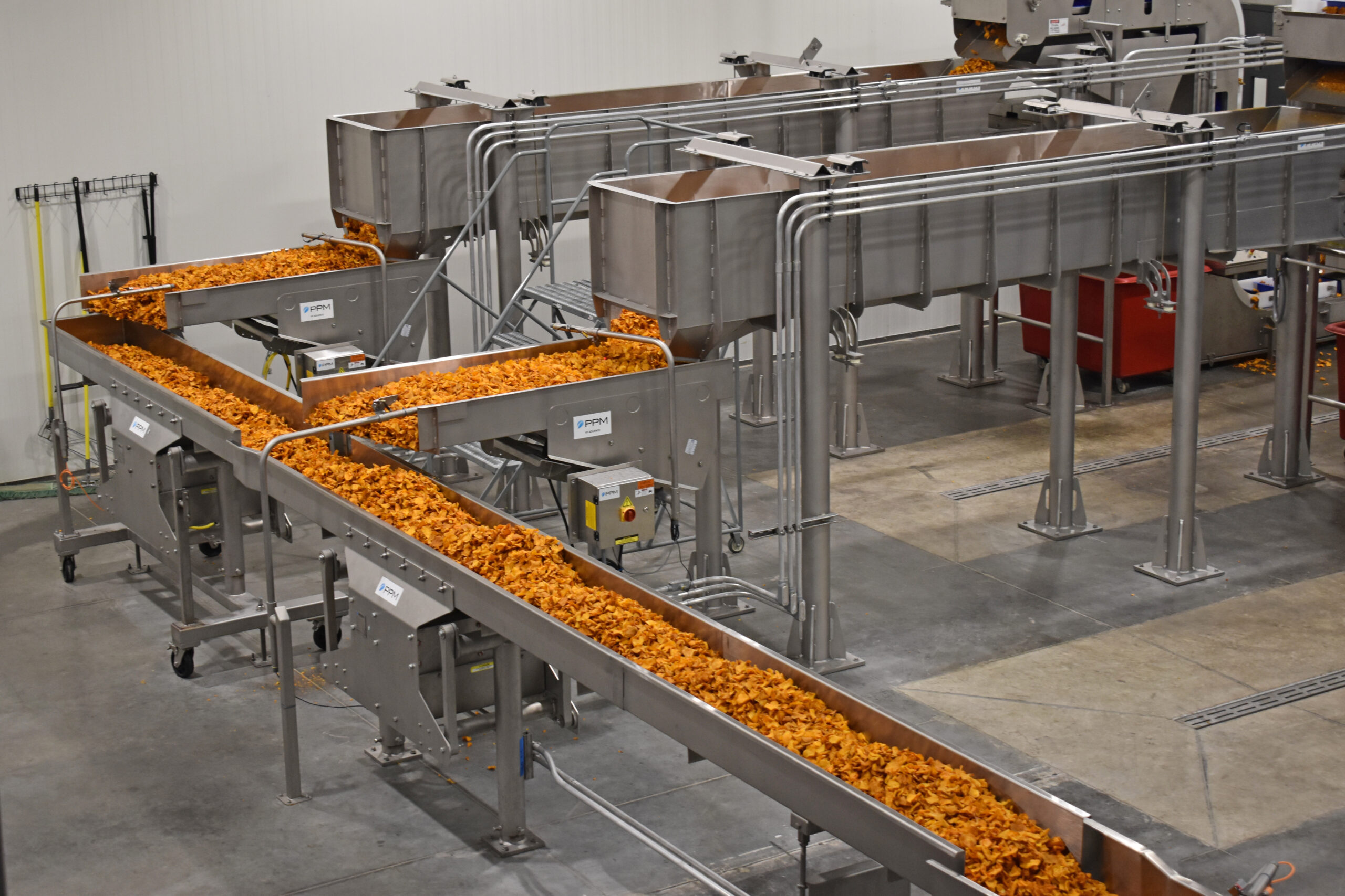 A sea of sweet potato chips make their way down a conveyer system