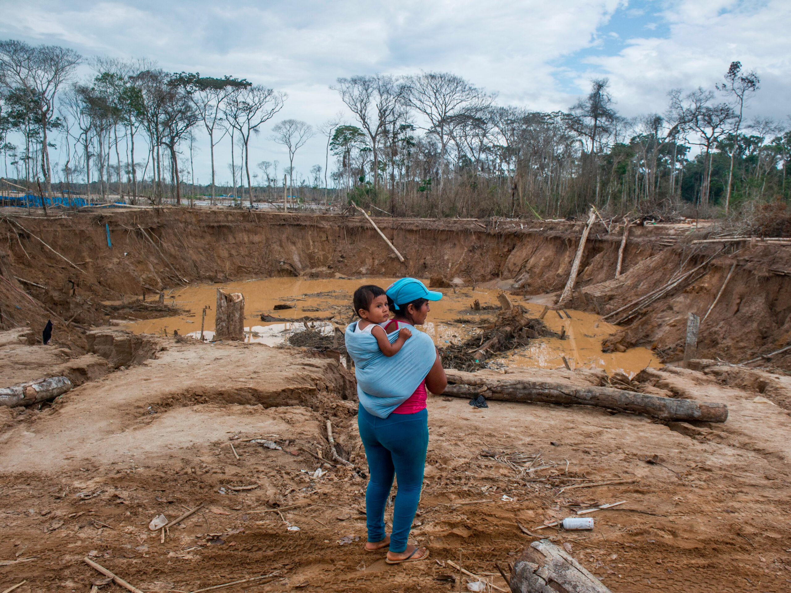Gold mining reduced this Amazon rainforest to a moonscape. Now miners are restoring it