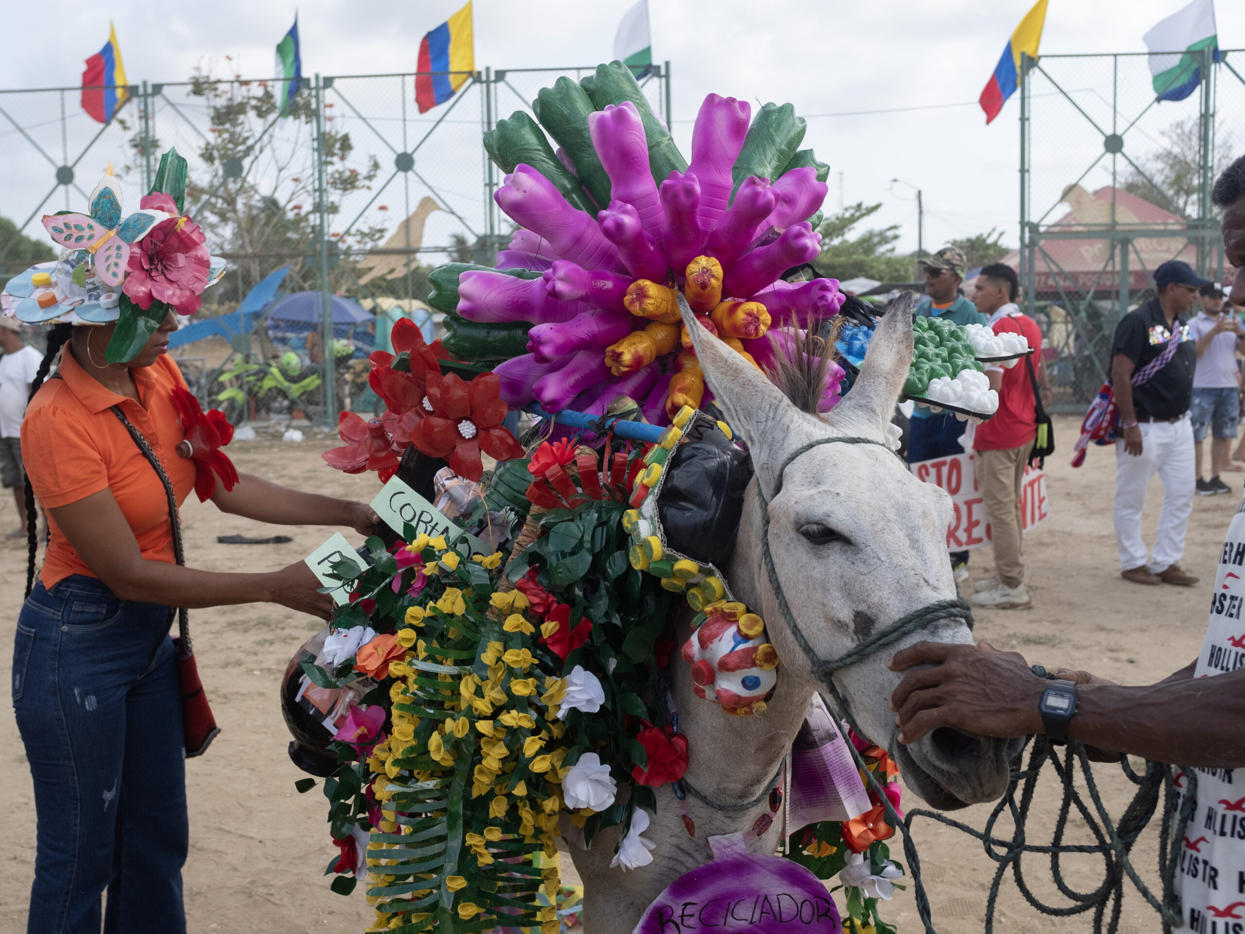 A donkey's owner makes last-minute adjustments ahead of the costume competition at the annual Donkey Festival in San Antero.