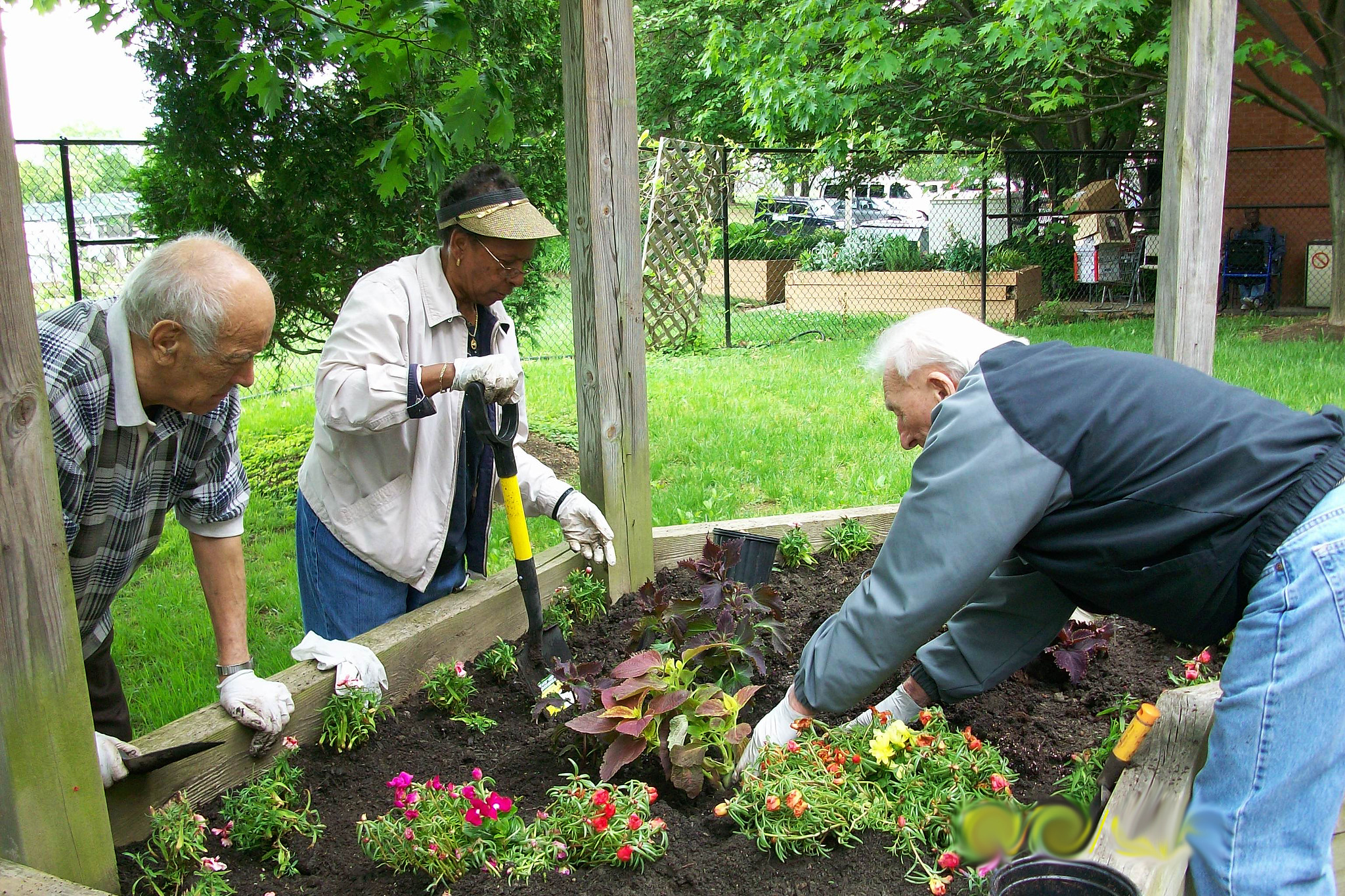 How to keep gardening as you age