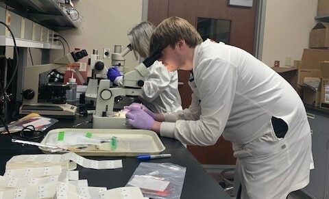 Two people in white lab coats look into microscopes