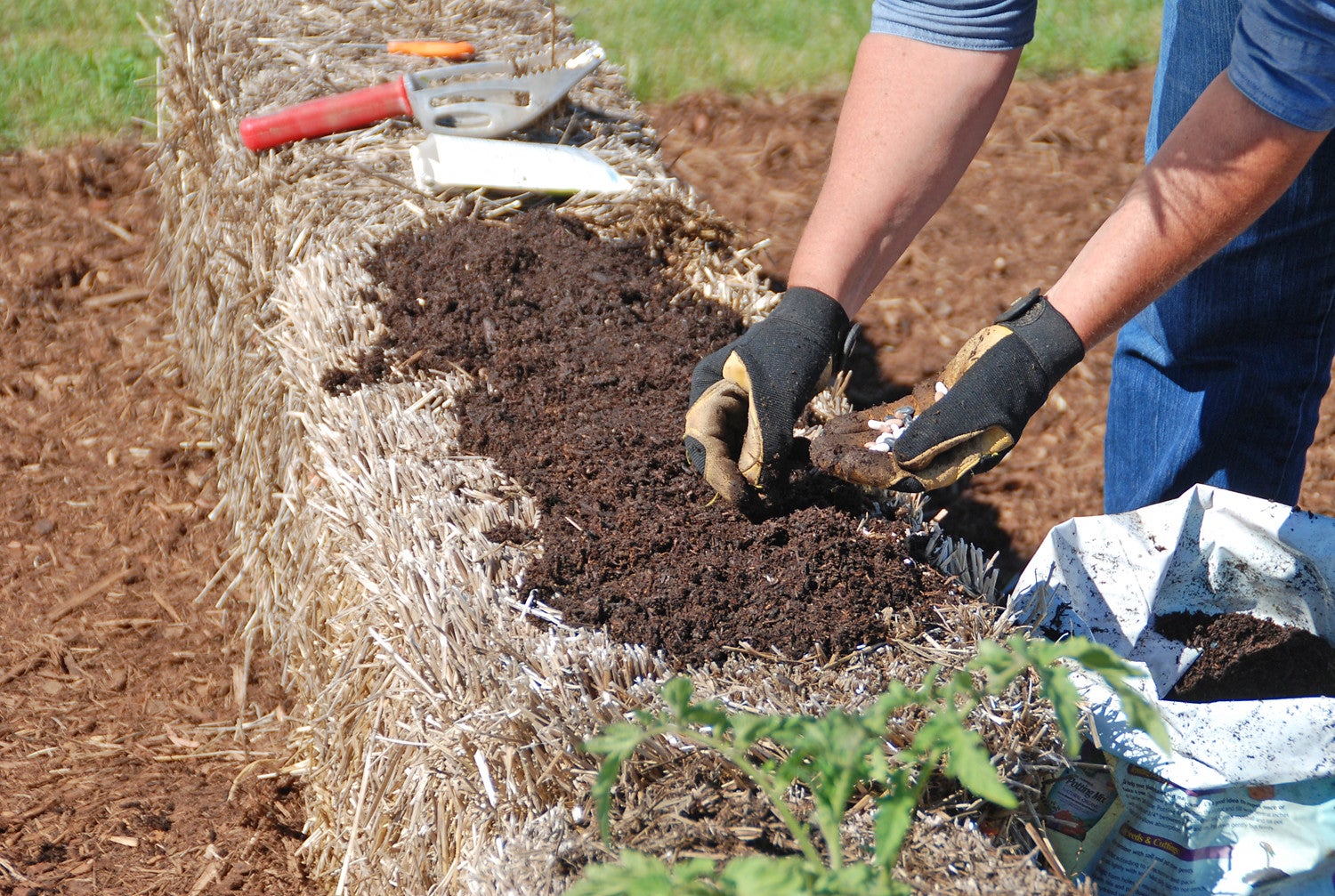 Planting seeds in a straw bale.