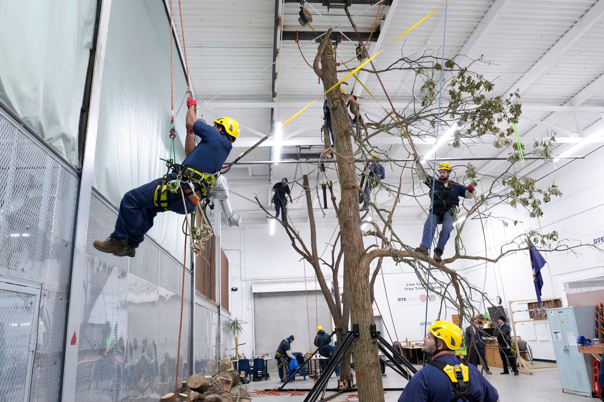 People in safety gear practice climbing and maneuvering on a large tree setup indoors, using ropes and harnesses in an industrial space.
