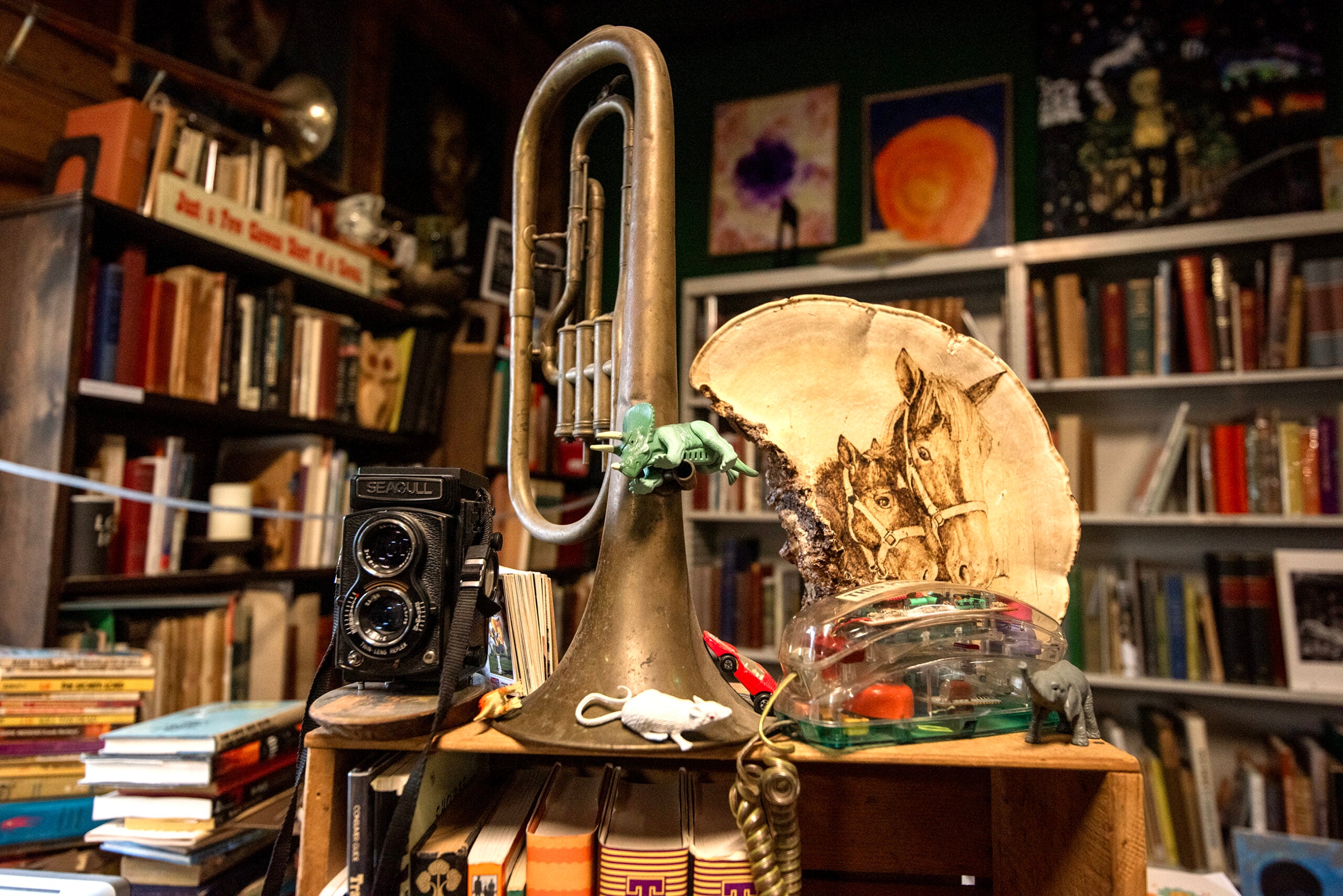A shelf with a brass horn, vintage camera, animal figurines, a wooden plate with a canine illustration, books, and various small objects in a cluttered library or study.