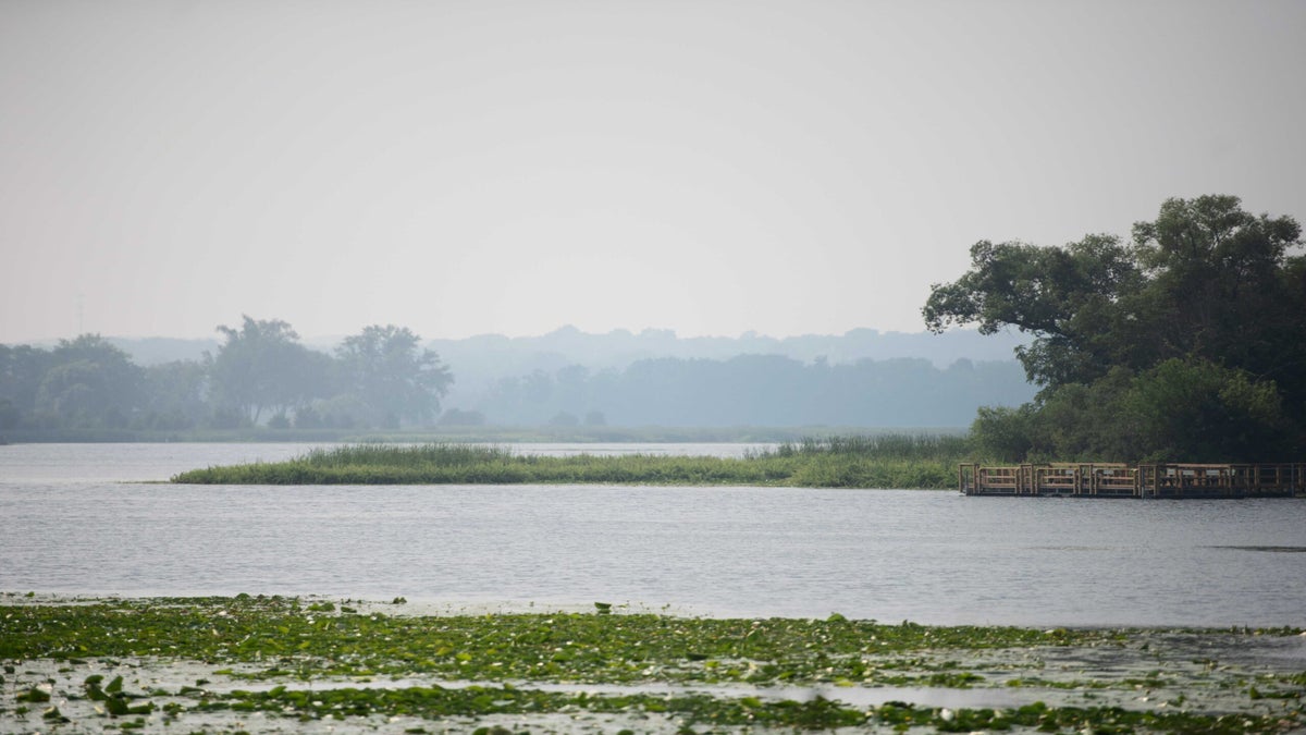 A calm lake with green vegetation in the foreground, tree-lined shores, and a wooden dock extending from the right side under a hazy sky.