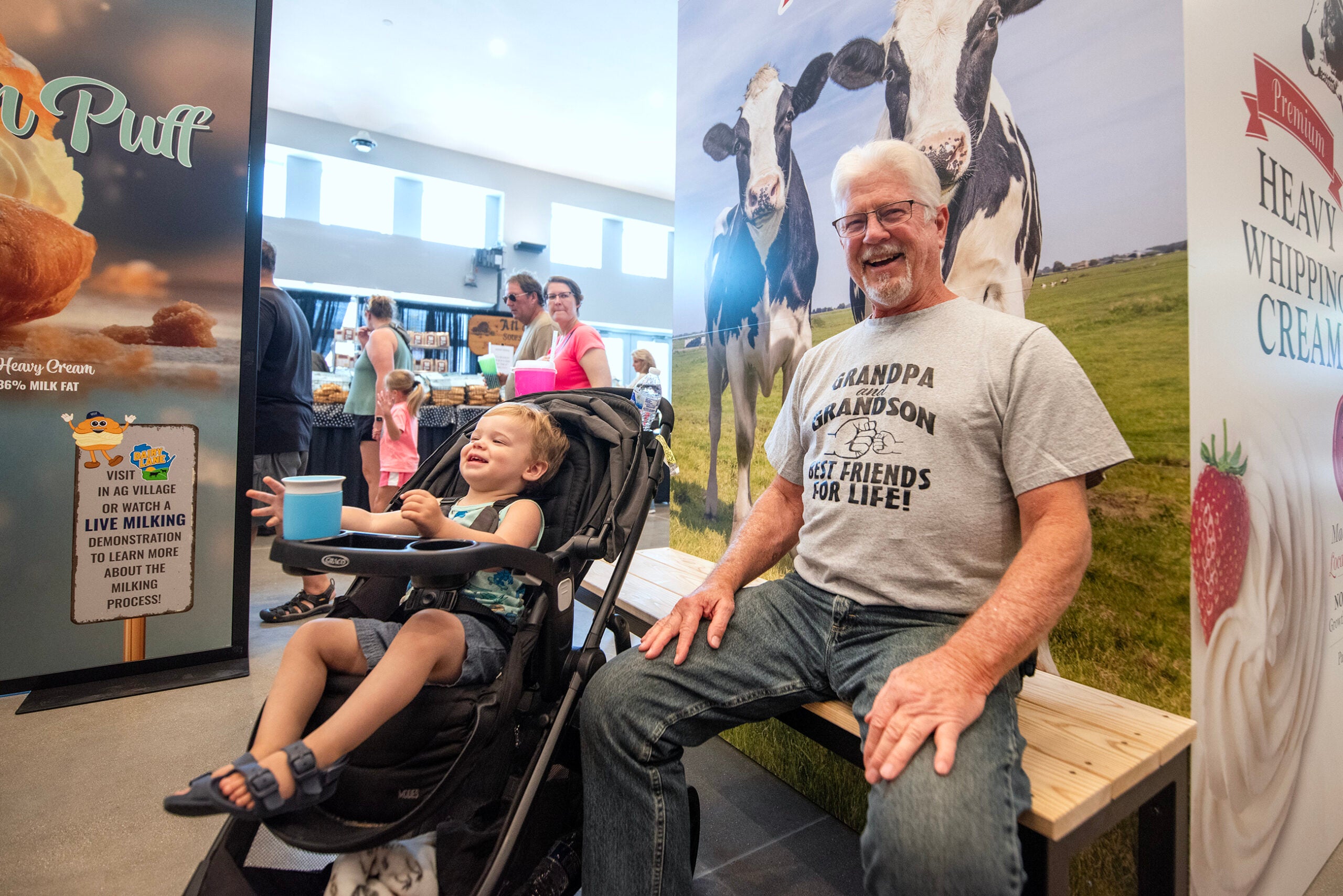 An older man sits on a bench next to a young child in a stroller inside a dairy-themed location, with people and cow posters in the background.