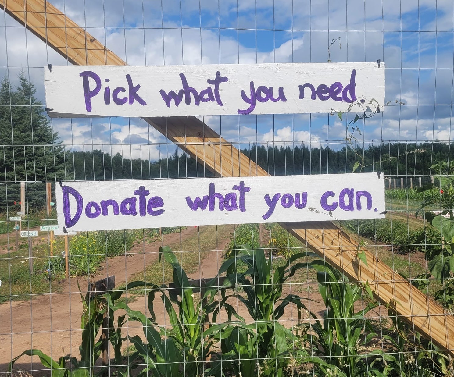 At this Wisconsin farm, cost isn’t a barrier to healthy food