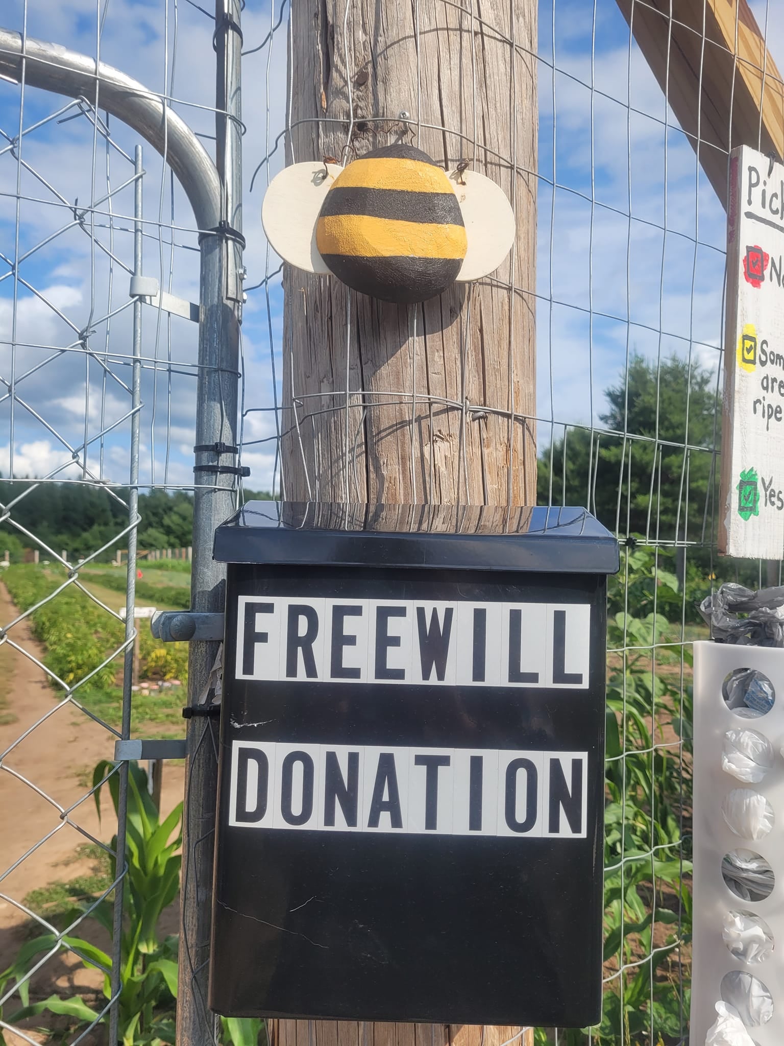 A black box with FREEWILL DONATION in white letters is mounted on a wooden post with a bee decoration above it beside a wire fence in a garden.