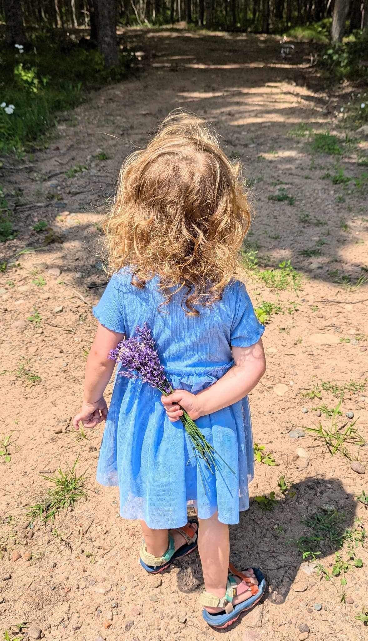 A young child in a blue dress holds a small bouquet of purple flowers behind their back while walking on a sunlit dirt path.