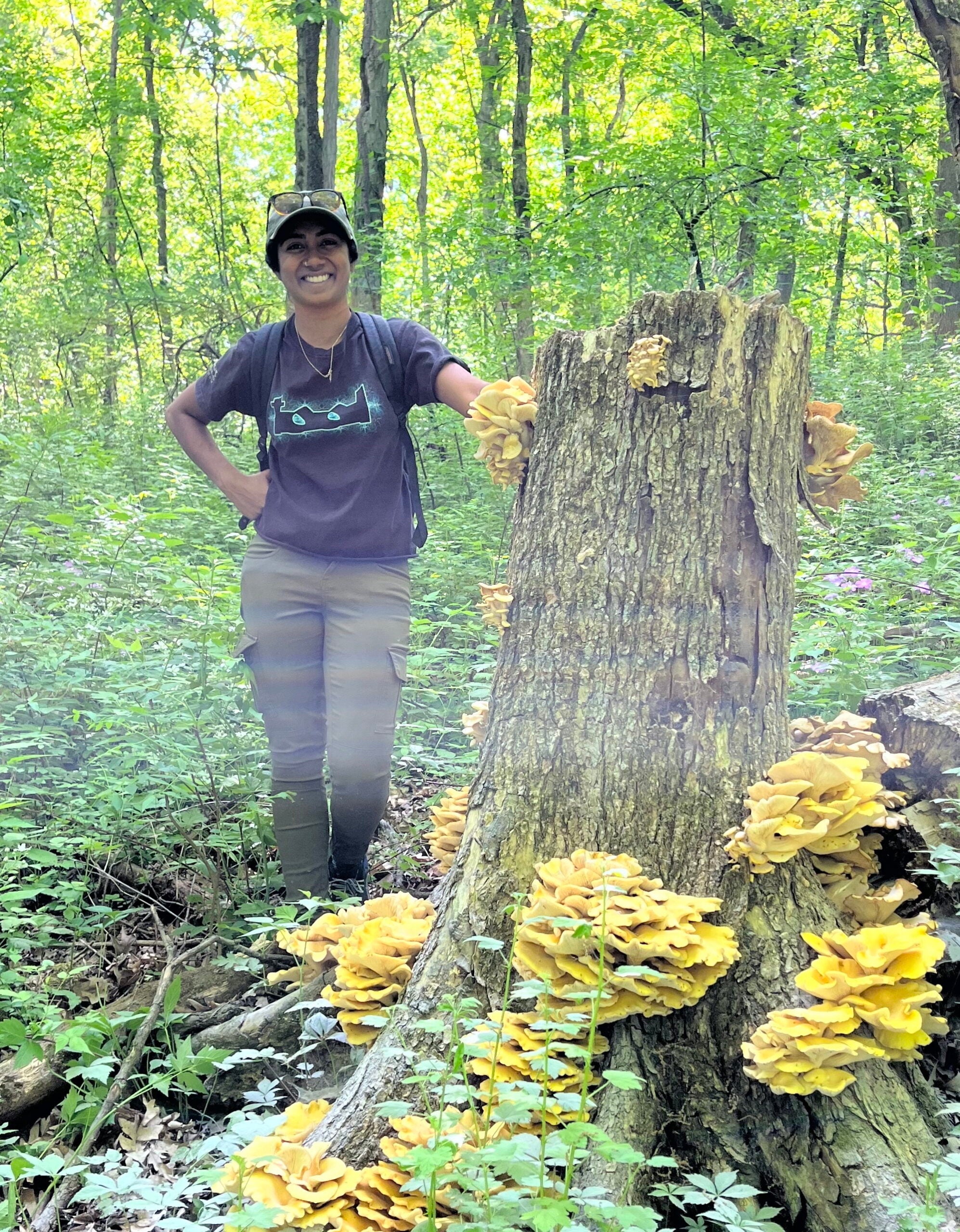 A person stands next to a tree stump covered with clusters of yellow mushrooms in a sunlit forest.