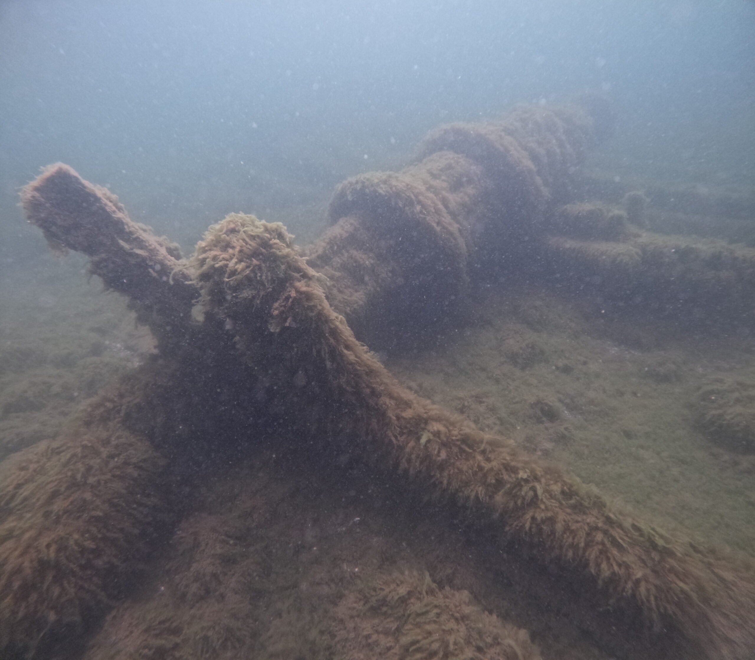 Underwater image shows an old ship anchor and chain covered in algae and marine growth, lying on a sandy seabed.