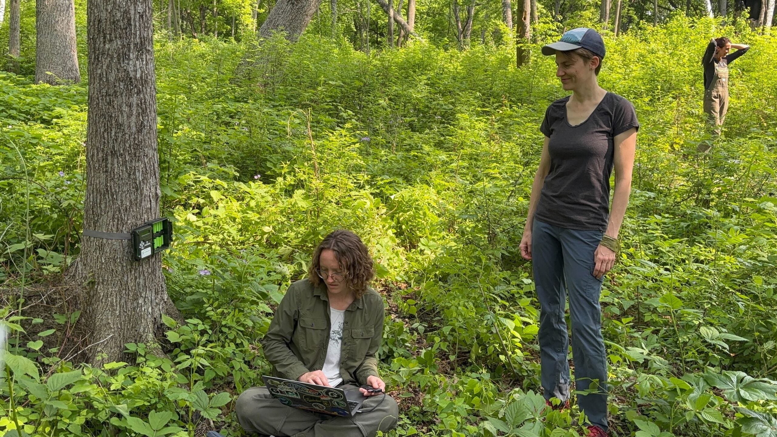 Two people in a forest collect data, with one sitting on the ground using a laptop and the other standing nearby. A third person is visible in the background among the foliage.
