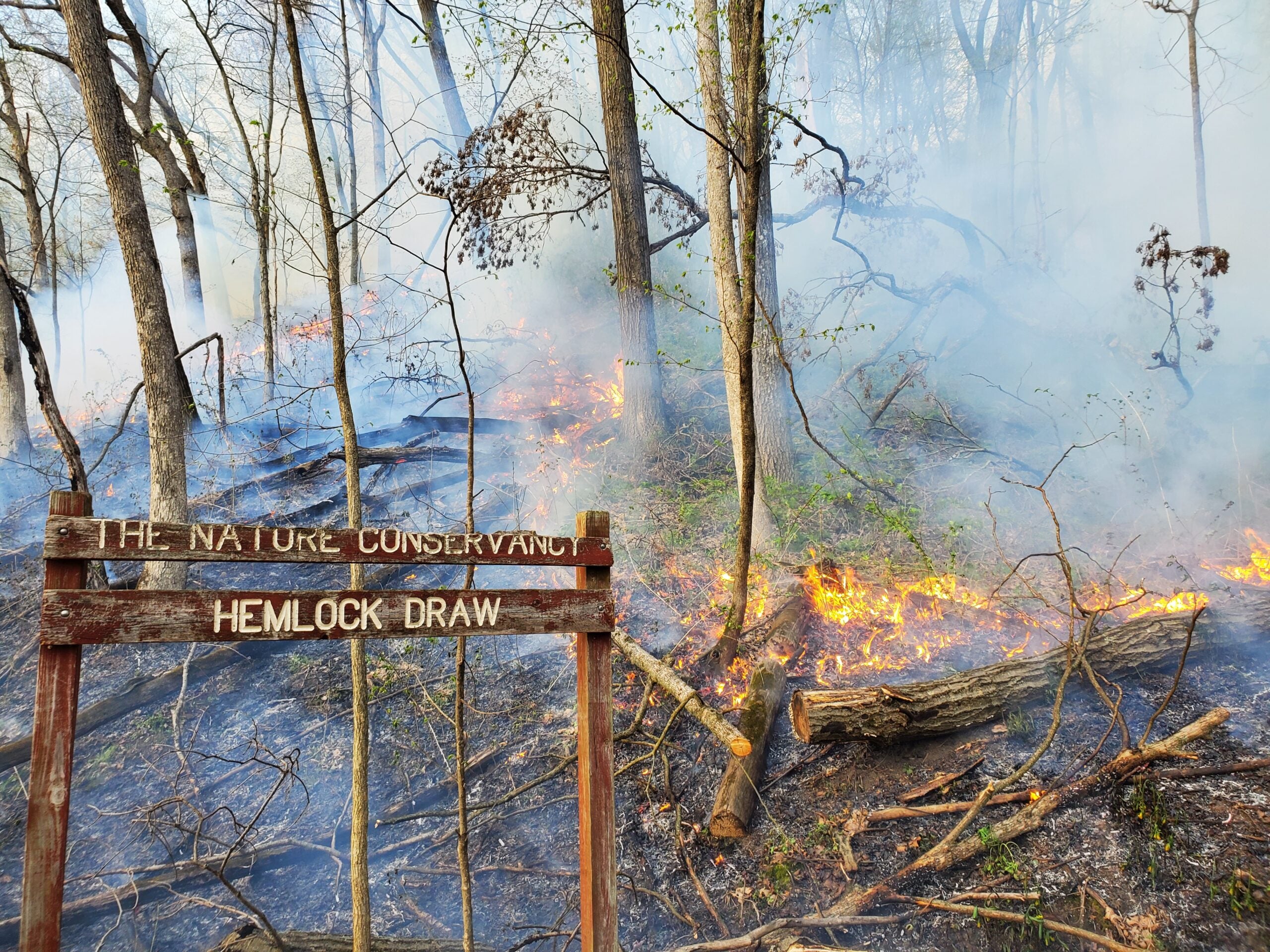 A controlled fire burns through a forested area near a wooden sign reading The Nature Conservancy Hemlock Draw.