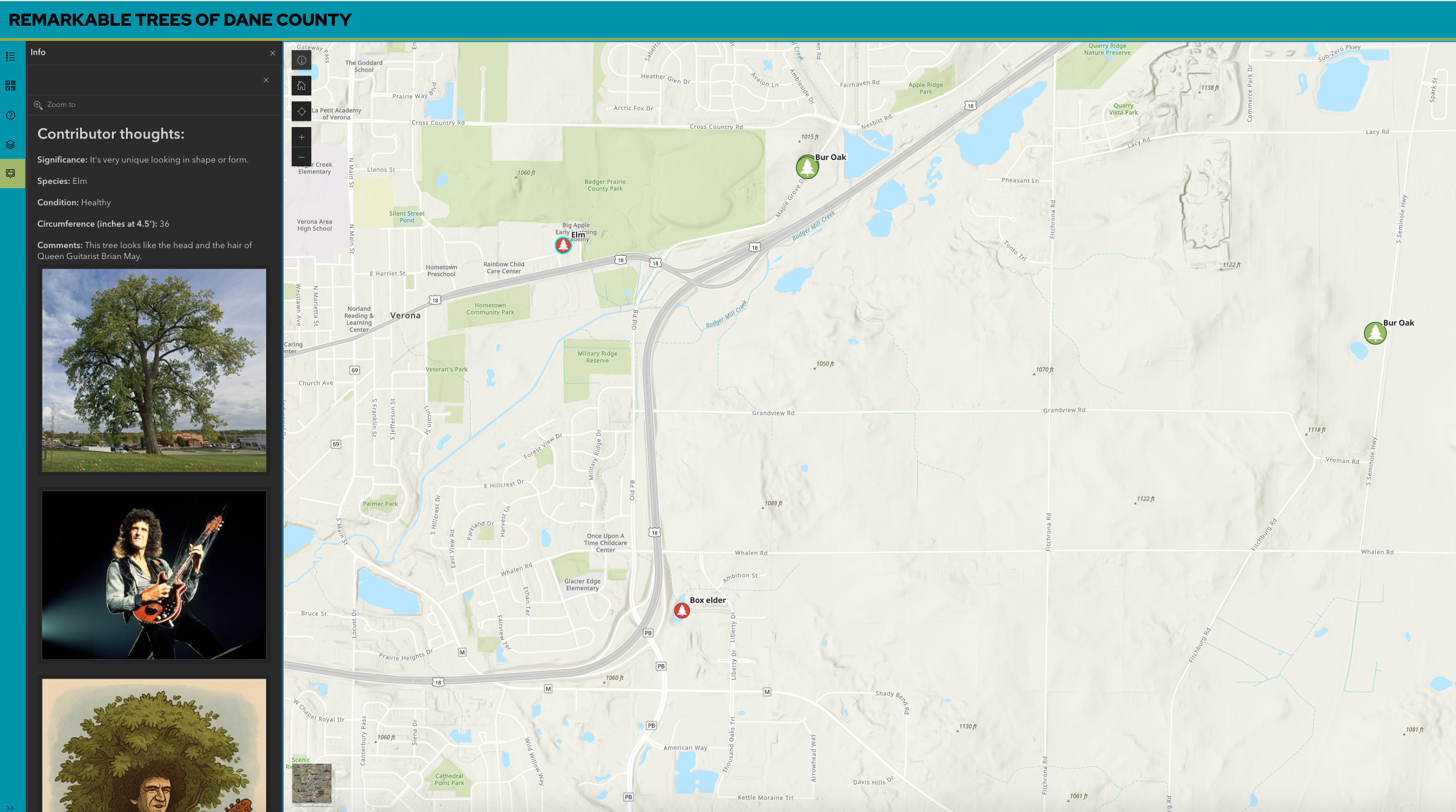 Screenshot of an interactive map titled Remarkable Trees of Dane County, showing tree locations, species info, and contributor notes on the left panel.