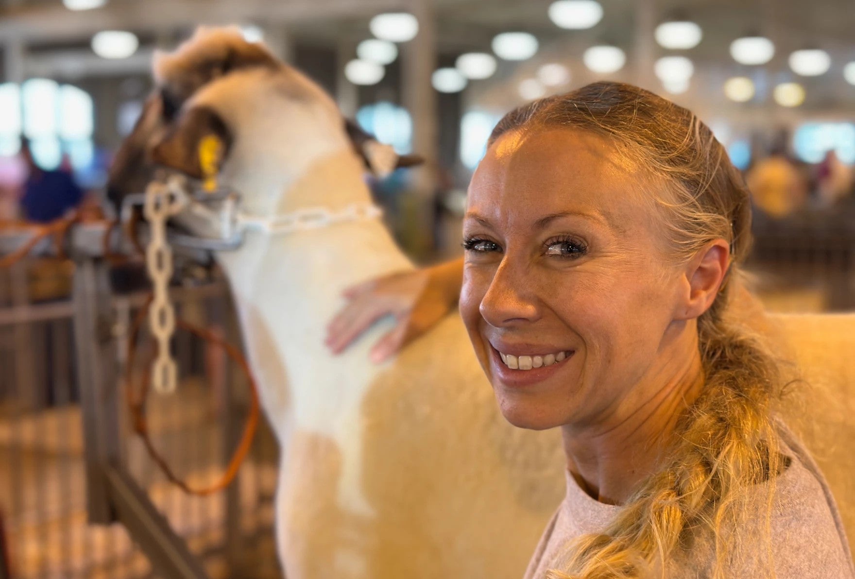 A woman with a braid smiles at the camera while standing next to a sheep inside a livestock facility.