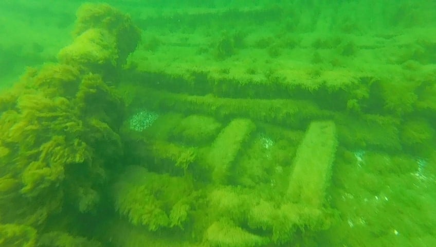 Underwater view of a submerged structure or shipwreck covered in green algae and aquatic plants.
