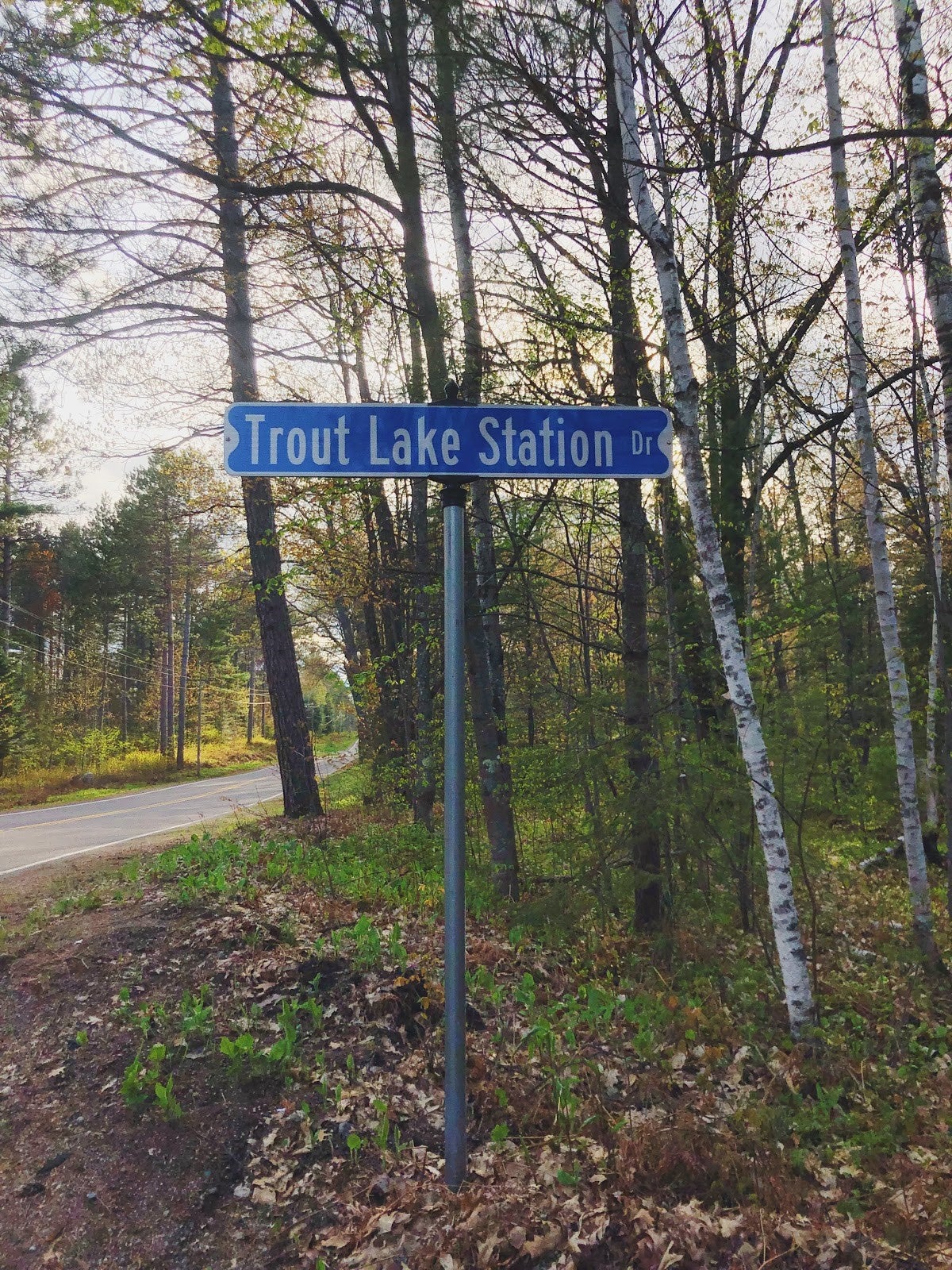A metal street sign labeled Trout Lake Station Dr stands beside a rural road, surrounded by trees and forest vegetation.